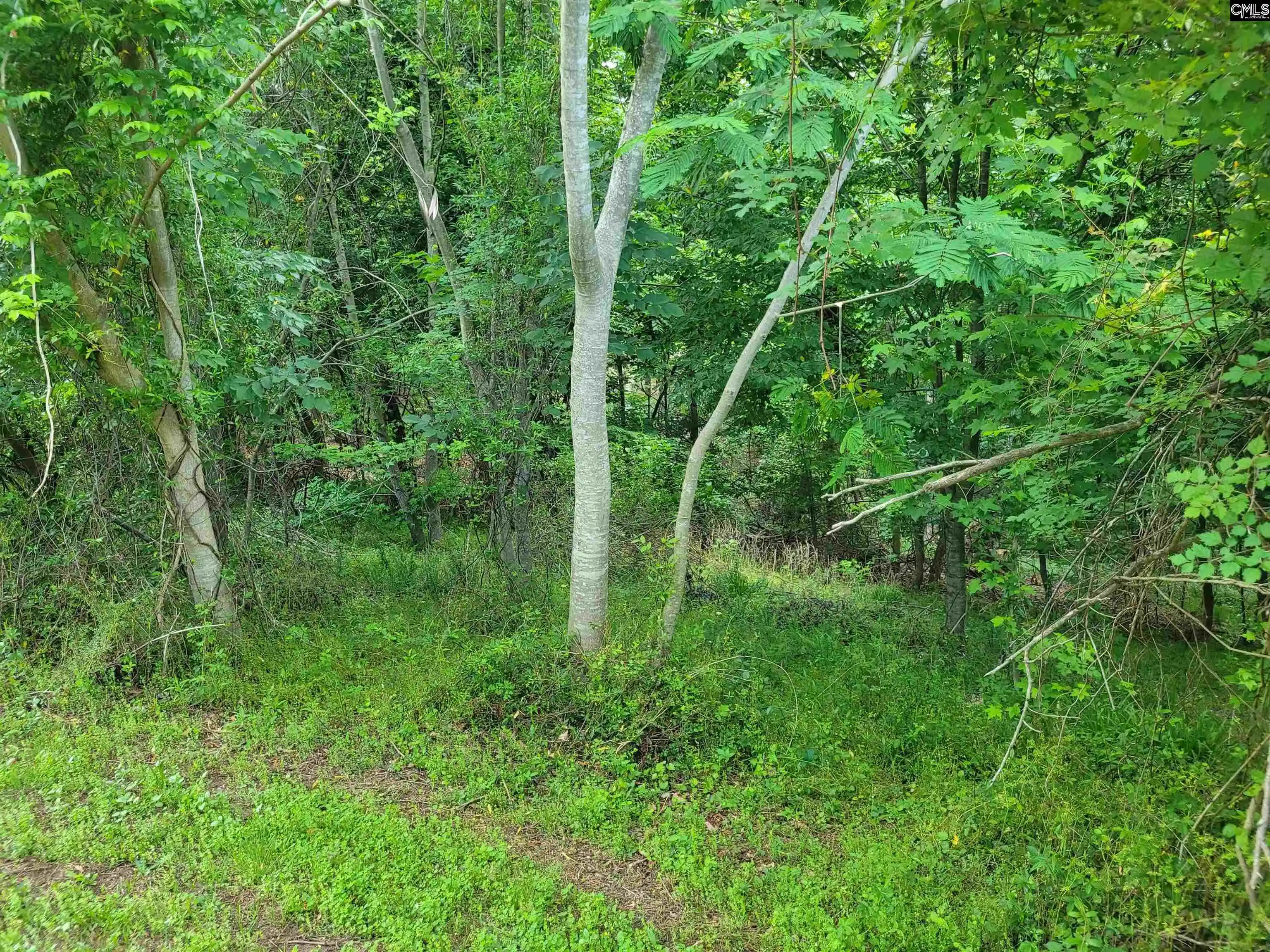 4th image of 0 River Ridge, Columbia, SC 29210 | MLS# 633681