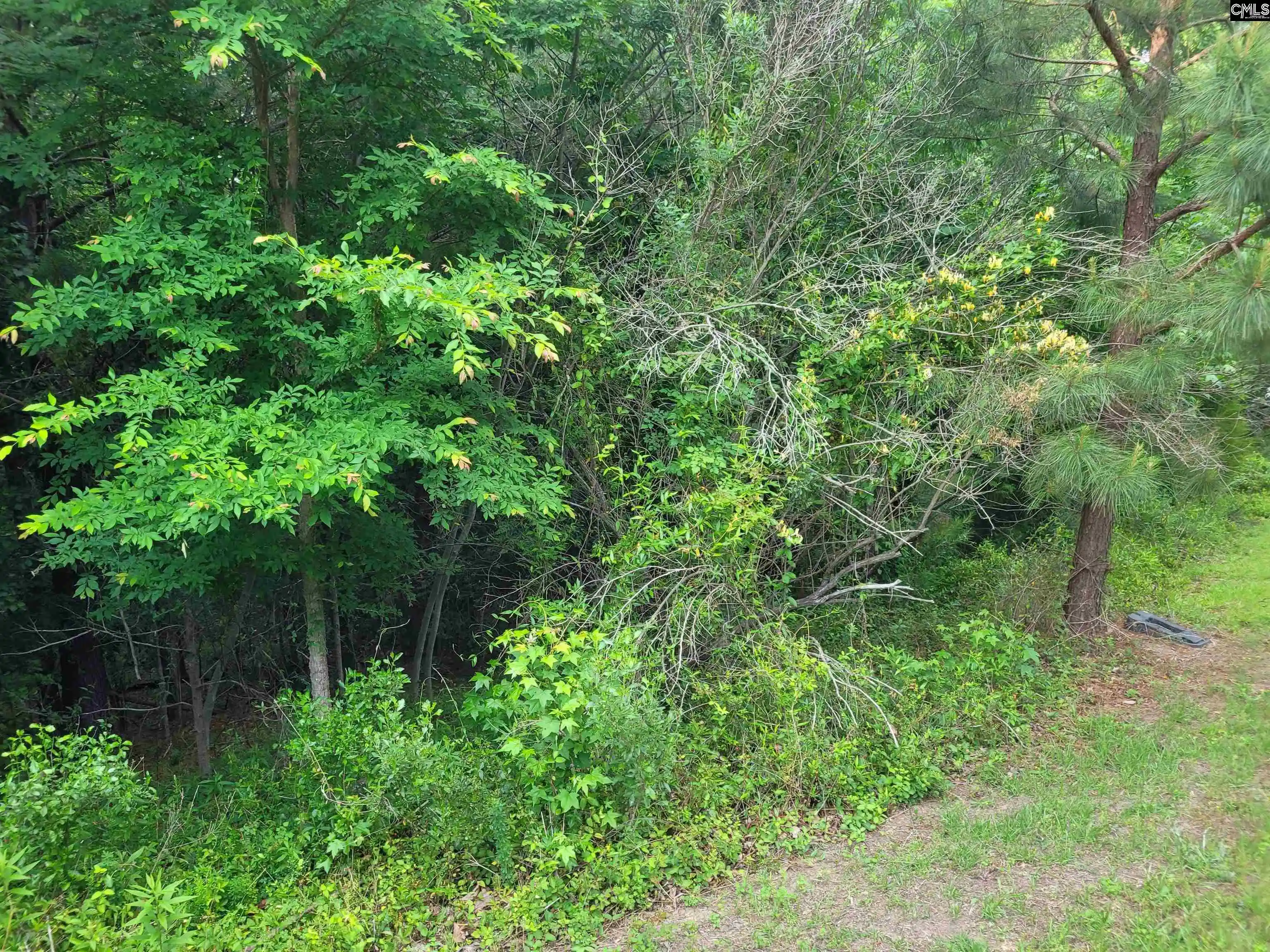 5th image of 0 River Ridge, Columbia, SC 29210 | MLS# 633681