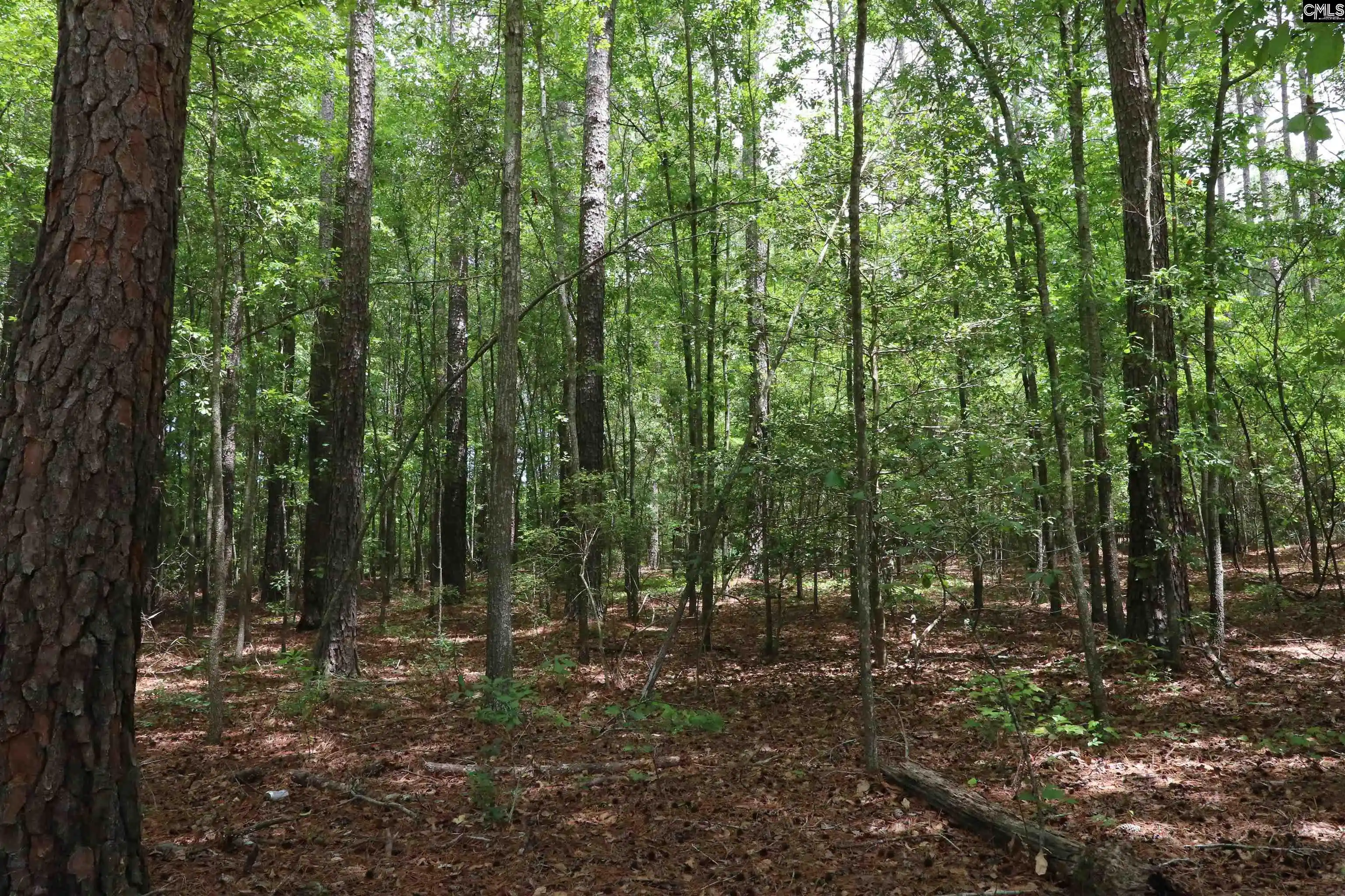 Homes for sale in Leesville, SC | 1091 Pine Grove, Leesville, SC 29070 | MLS# 633753