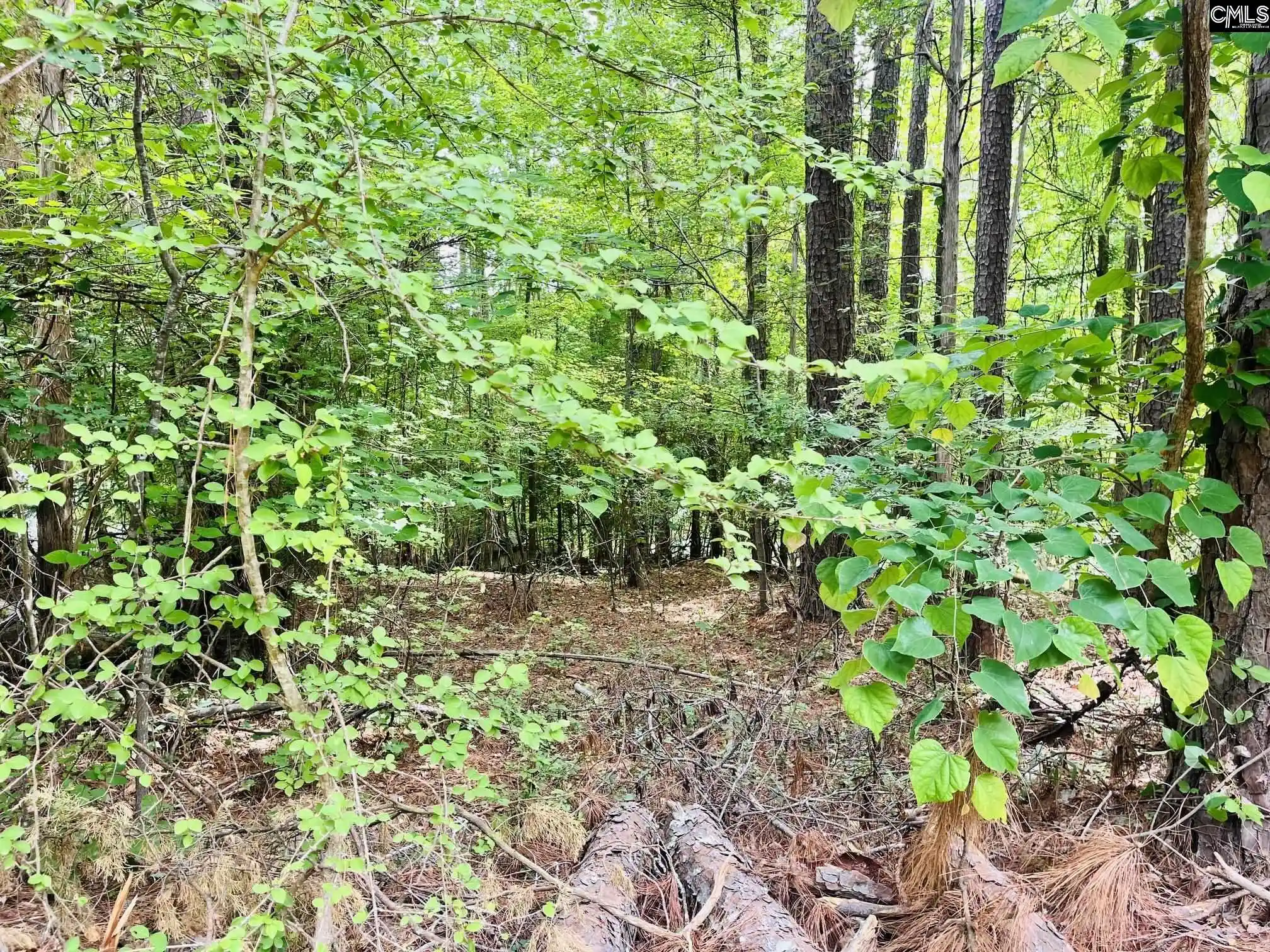 Homes for sale in Leesville, SC | Tbd Lake, Leesville, SC 29070 | MLS# 633966