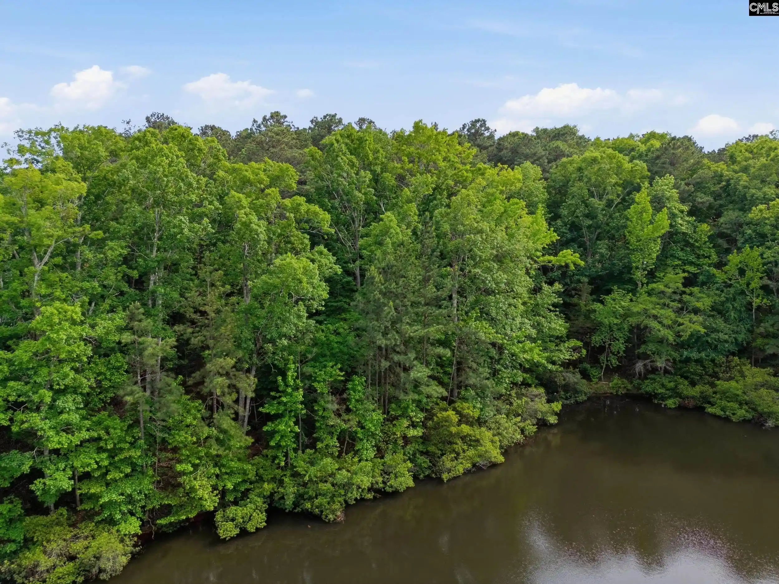 Homes for sale in Blythewood, SC | 201 Ashley Oaks, Blythewood, SC 29016 | MLS# 634215
