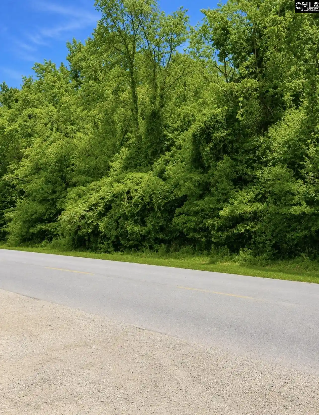 Photo 3 of Land for sale at 1288 Maple, Denmark, SC 29042 | MLS# 634266 | Listing updated on 2026-08-24
