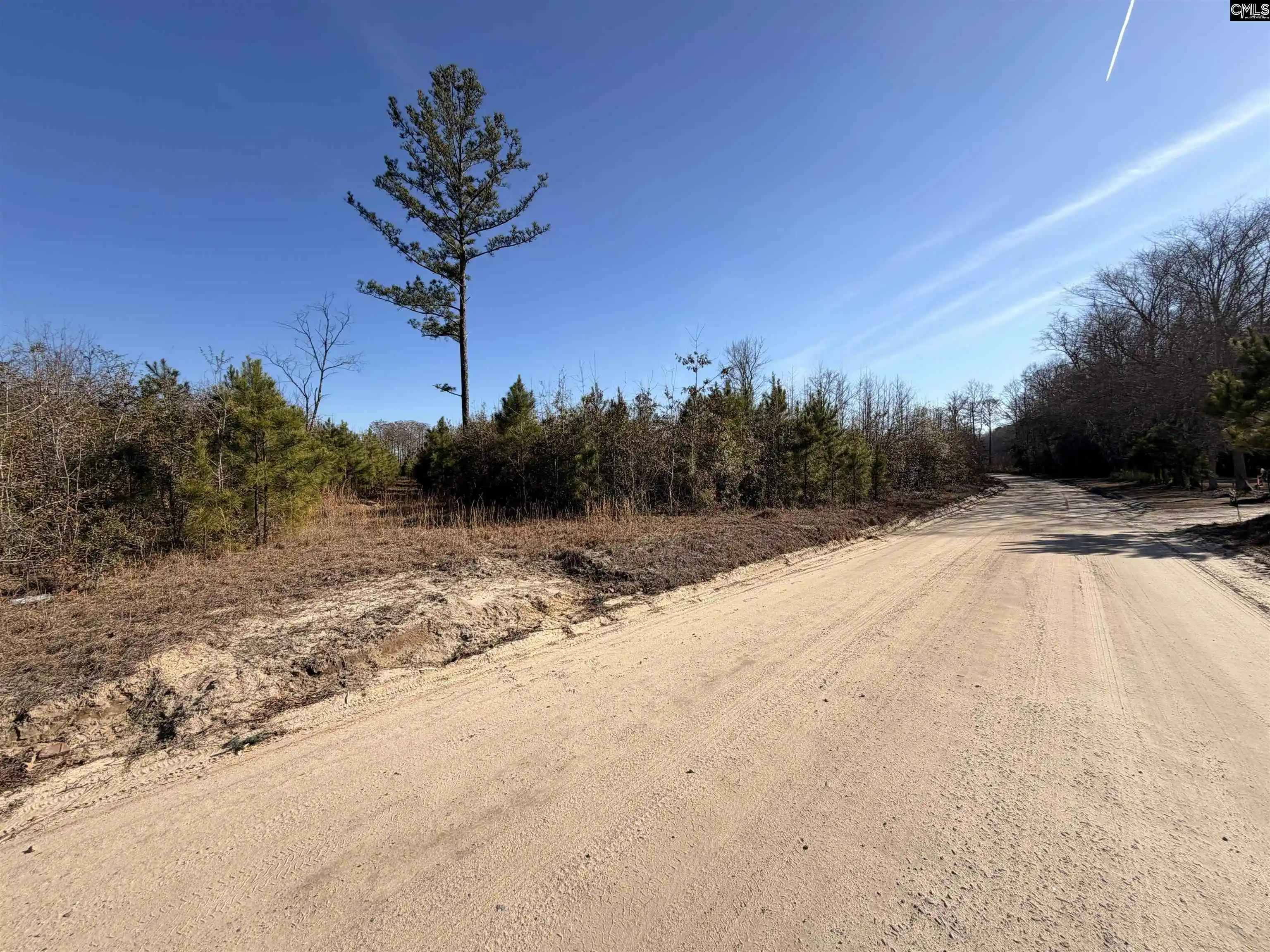 Homes for sale in Cope, SC | 0 Proctor, Cope, SC 29038 | MLS# 634278
