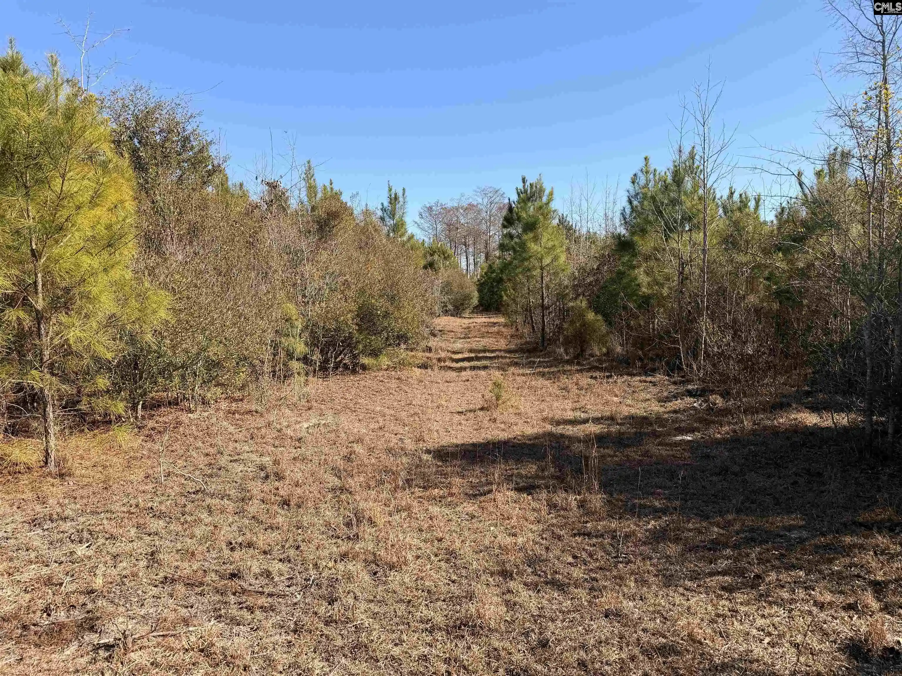 Homes for sale in Cope, SC | 0 Proctor, Cope, SC 29038 | MLS# 634278