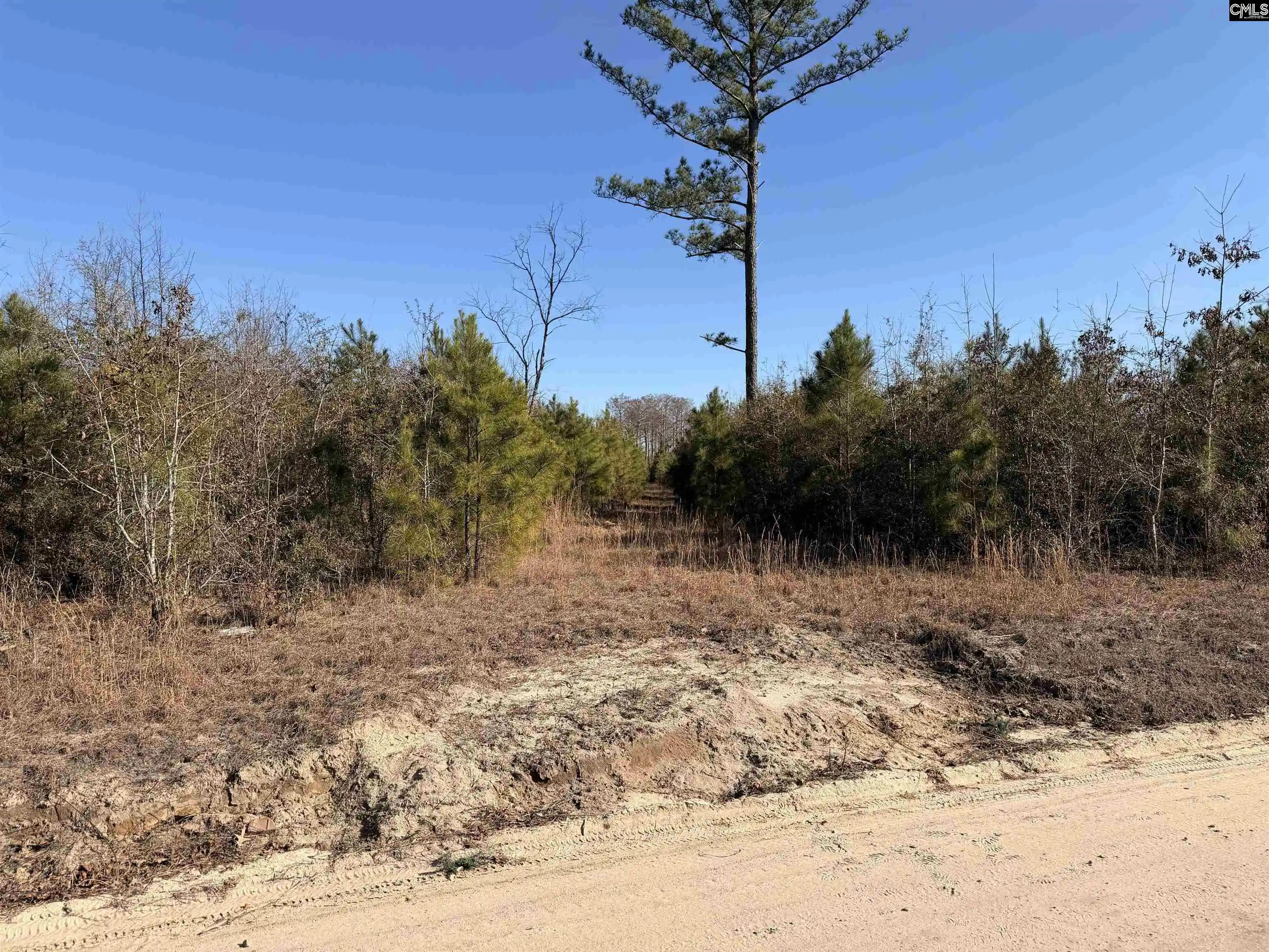 Homes for sale in Cope, SC | 0 Proctor, Cope, SC 29038 | MLS# 634278