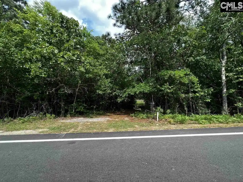 1st image of 410 Boy Scout Road, Gaston, SC 29053 | MLS# 634284
