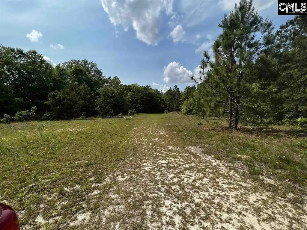 2nd image of 410 Boy Scout Road, Gaston, SC 29053 | MLS# 634284