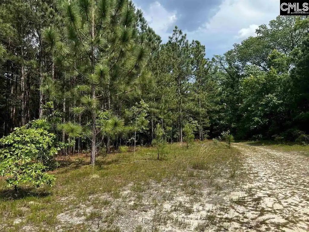 4th image of 410 Boy Scout Road, Gaston, SC 29053 | MLS# 634284