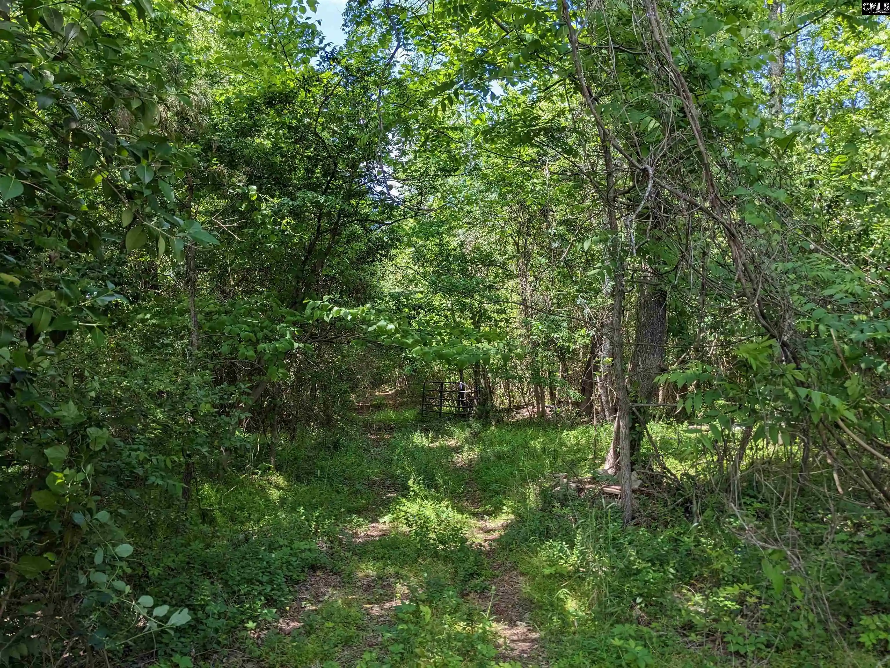 Photo 1 of Land for sale at Jewel, Ridgeway, SC 29130 | MLS# 634297 | Listing updated on 2026-05-16