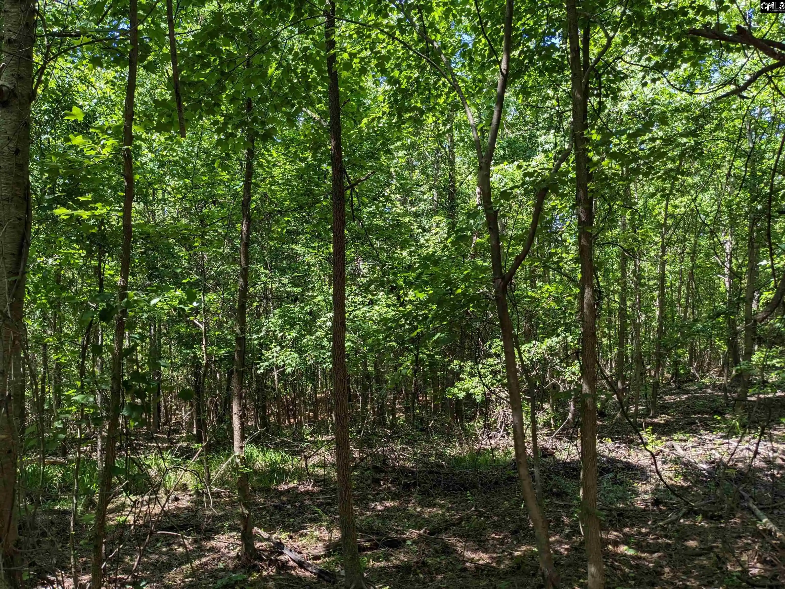 Photo 2 of Land for sale at Jewel, Ridgeway, SC 29130 | MLS# 634297 | Listing updated on 2026-05-16
