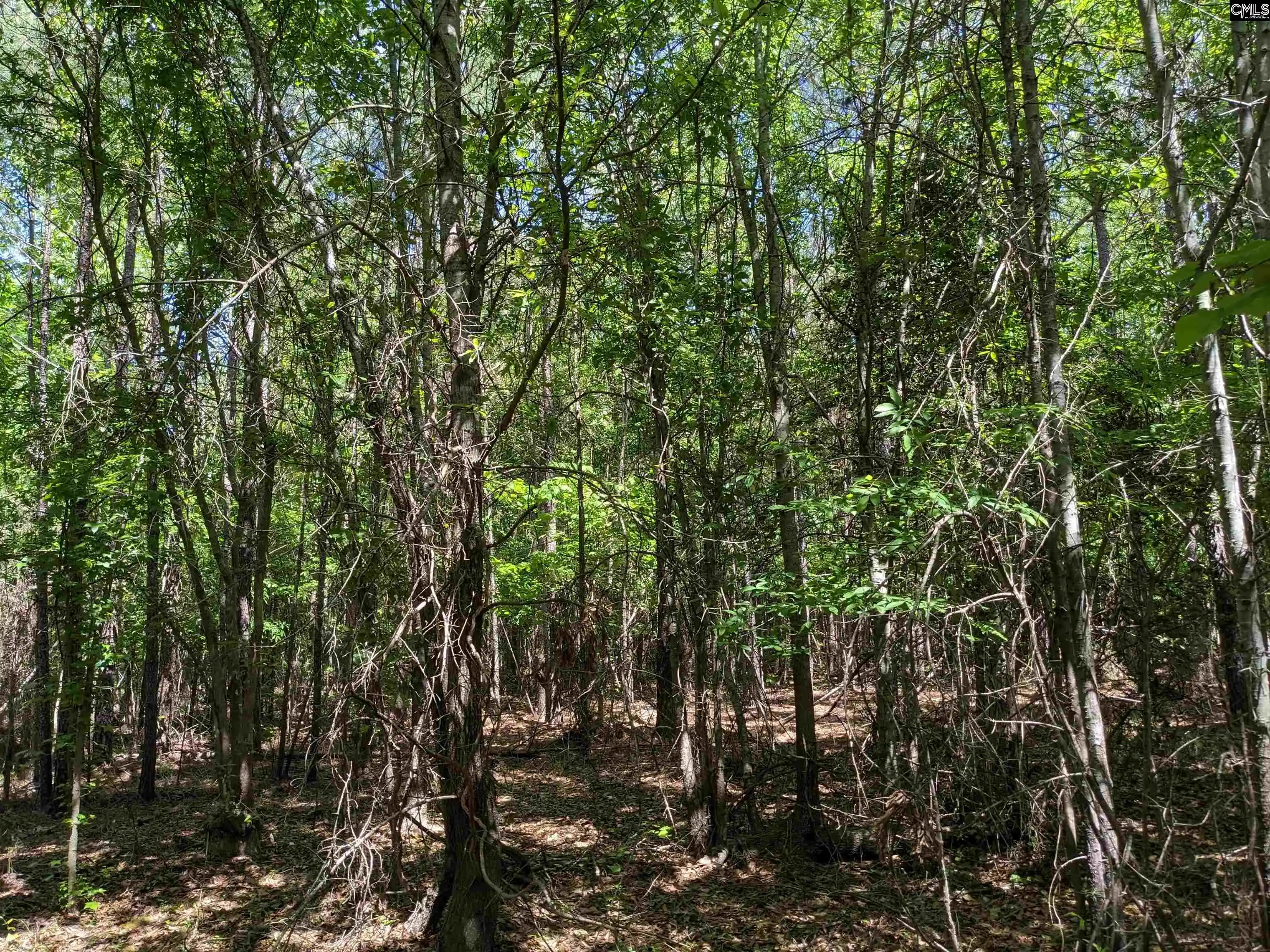 Photo 3 of Land for sale at Jewel, Ridgeway, SC 29130 | MLS# 634297 | Listing updated on 2026-05-16