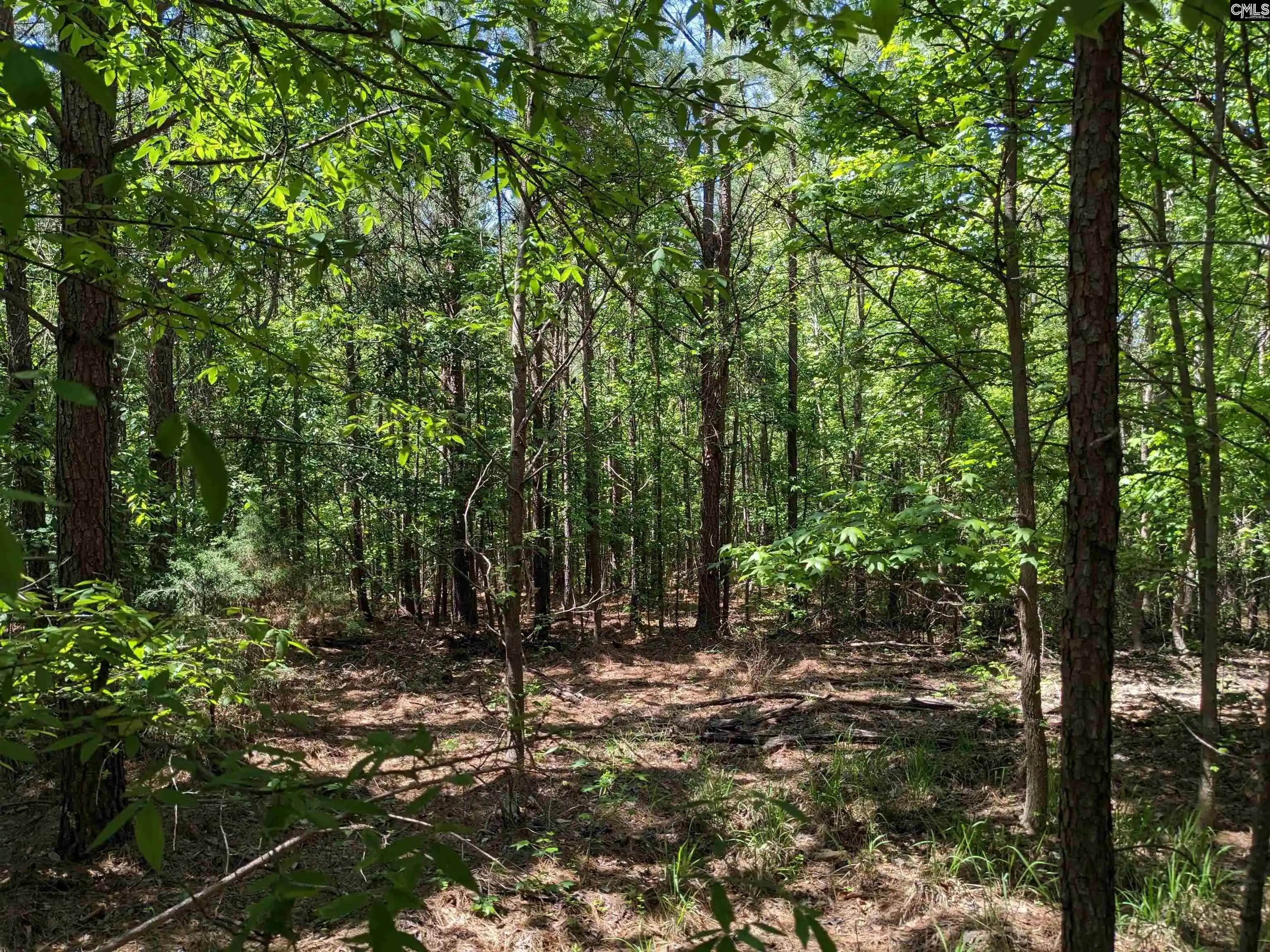 Photo 4 of Land for sale at Jewel, Ridgeway, SC 29130 | MLS# 634297 | Listing updated on 2026-05-16