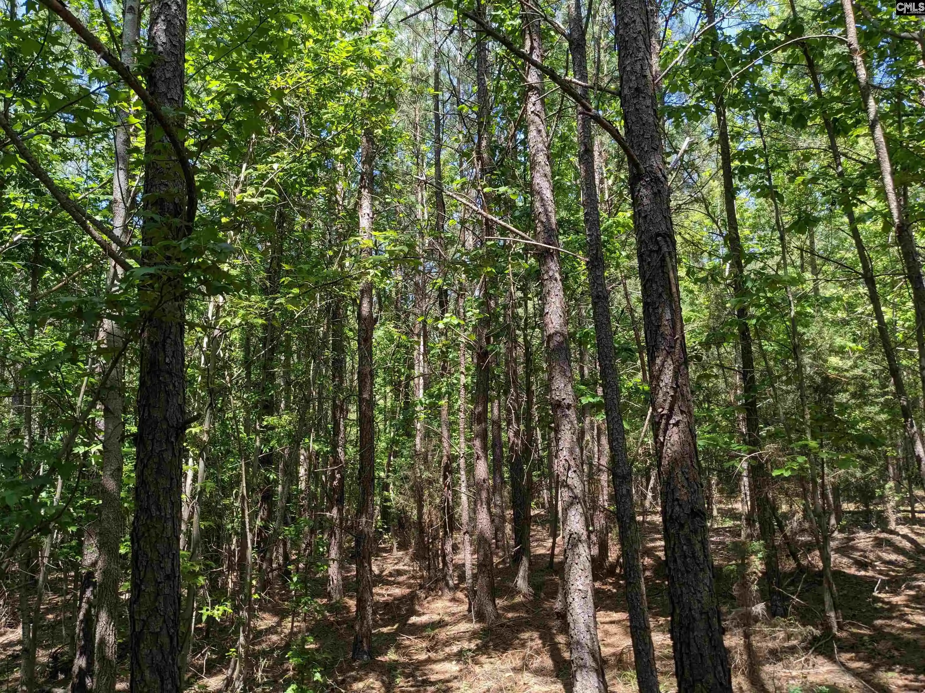 Photo 20 of Land for sale at Jewel, Ridgeway, SC 29130 | MLS# 634297 | Listing updated on 2026-05-16