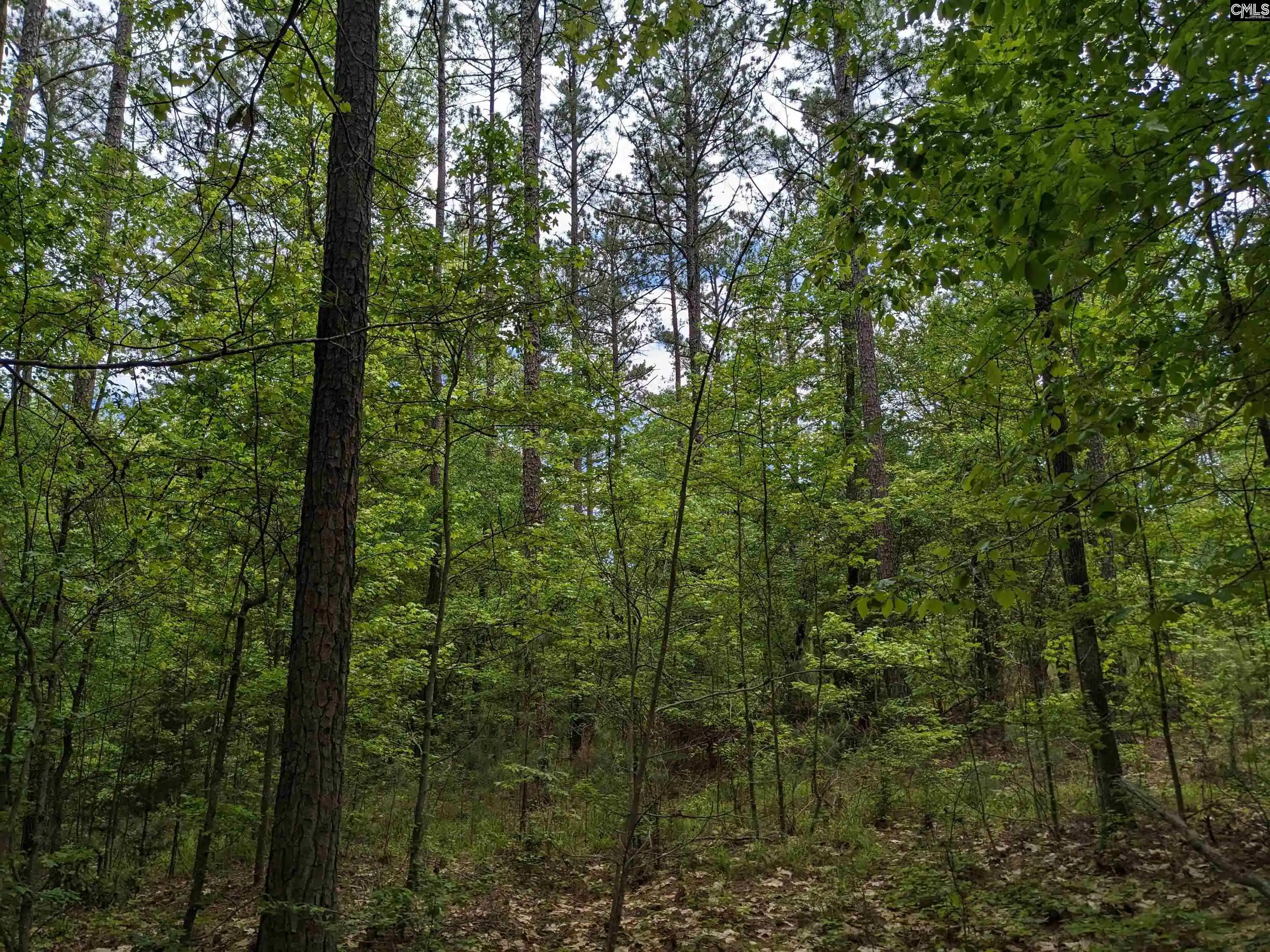 Homes for sale in Ridgeway, SC | Syrup Mill, Ridgeway, SC 29130 | MLS# 634298