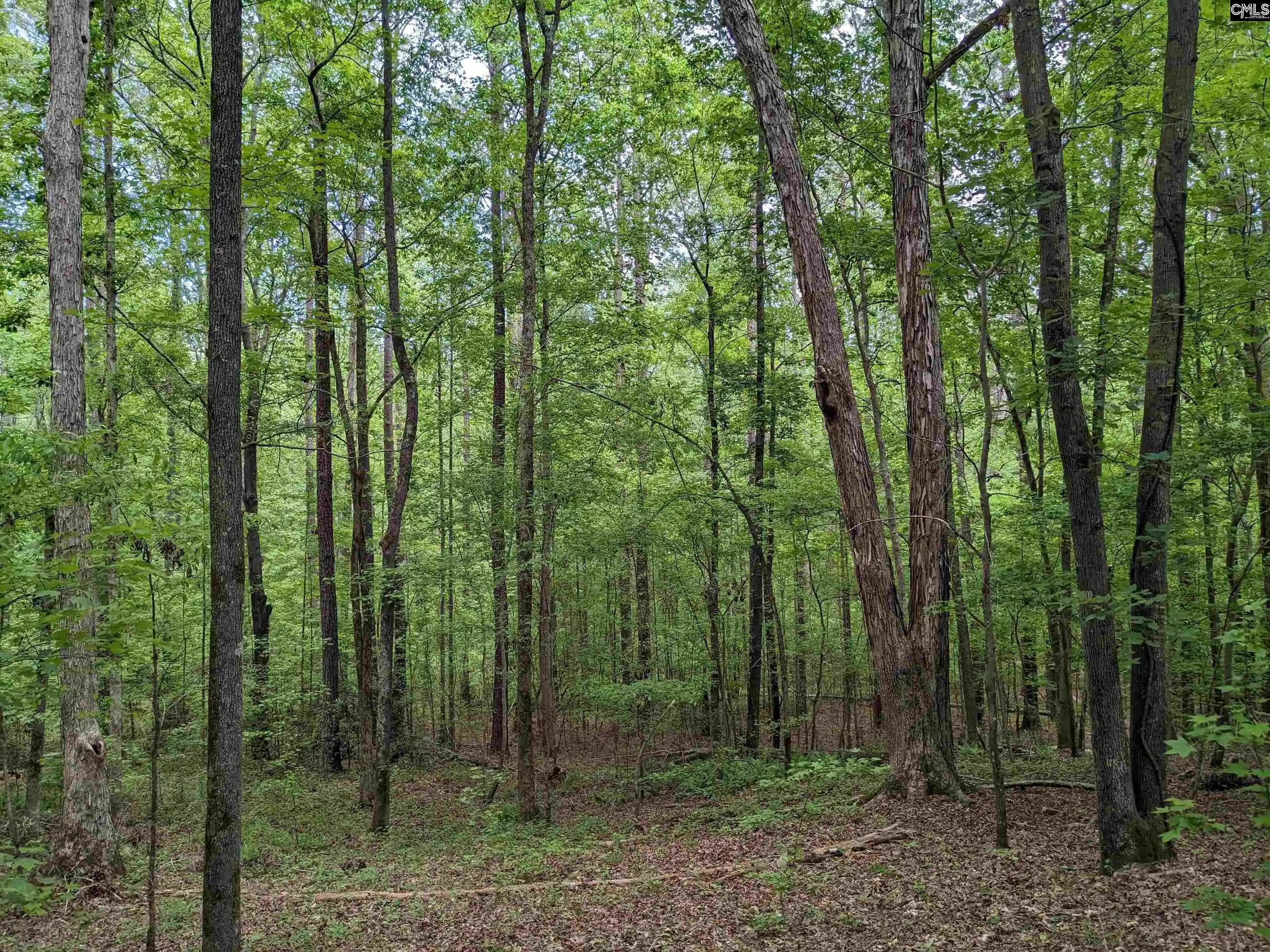 Photo 3 of Sale Pending at Syrup Mill, Ridgeway, SC 29130 | MLS# 634298 | Listing updated on 2026-08-13