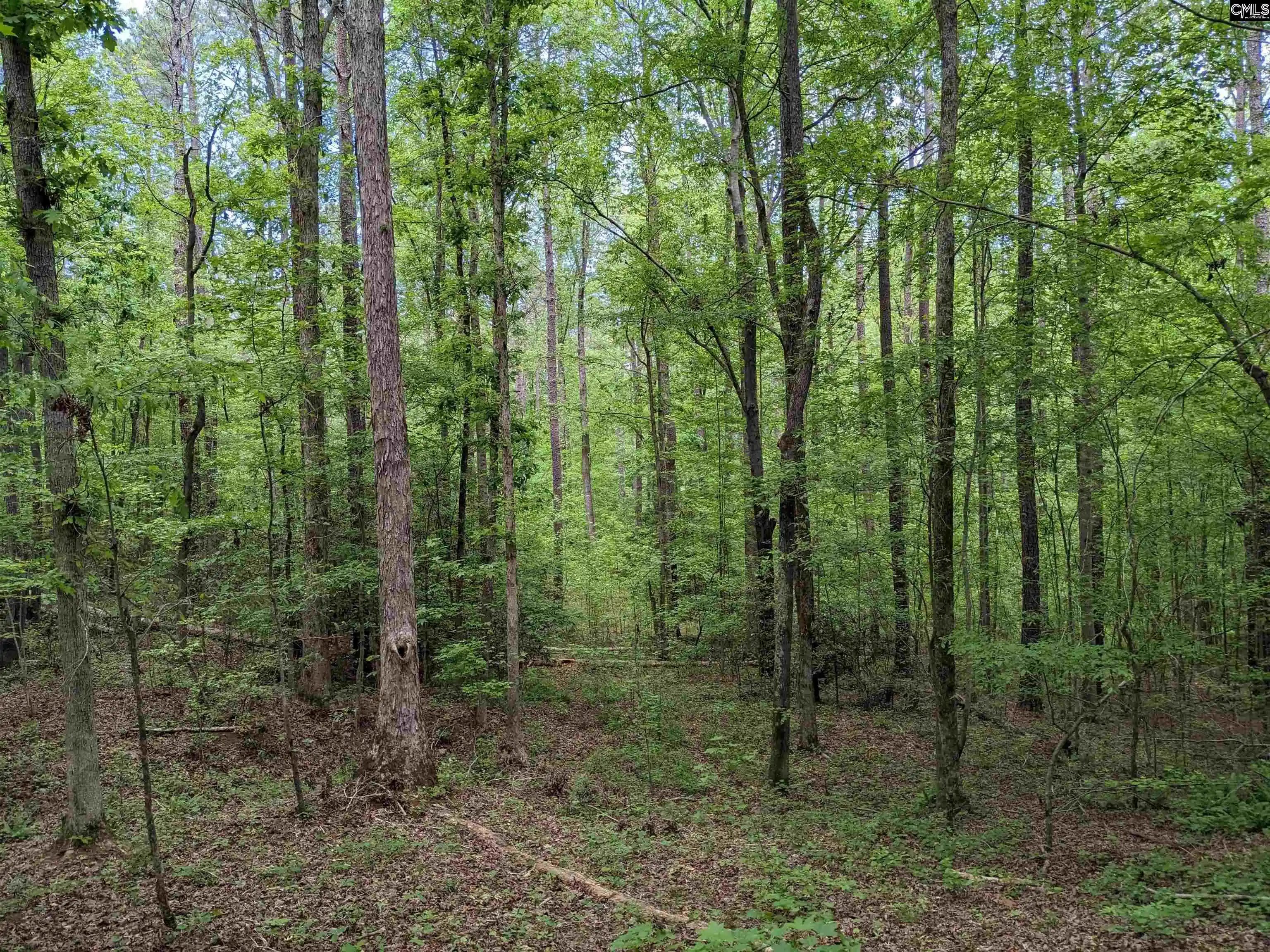 Photo 4 of Sale Pending at Syrup Mill, Ridgeway, SC 29130 | MLS# 634298 | Listing updated on 2026-08-13
