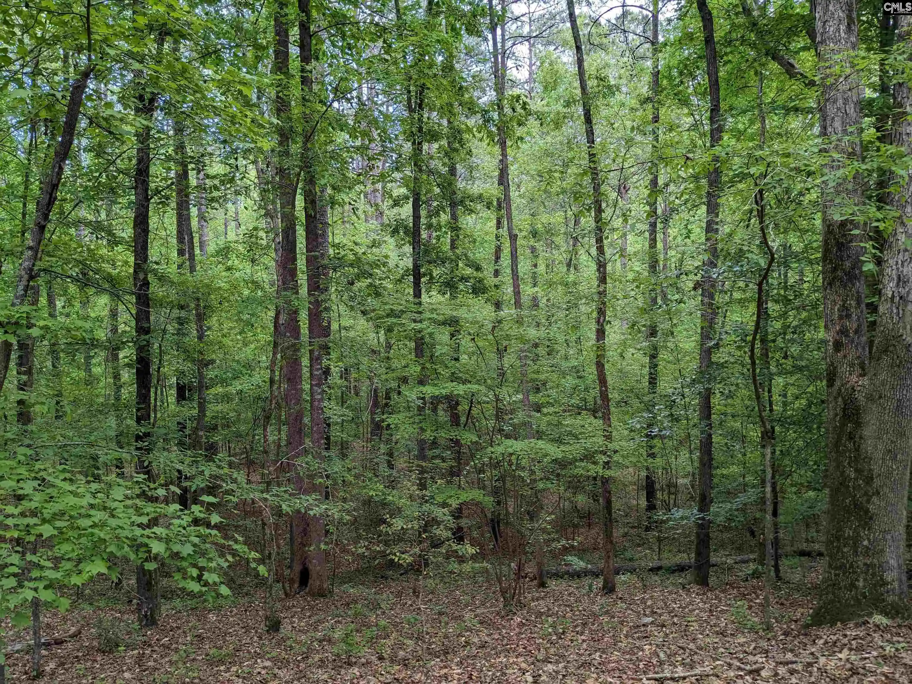Photo 5 of Sale Pending at Syrup Mill, Ridgeway, SC 29130 | MLS# 634298 | Listing updated on 2026-08-13