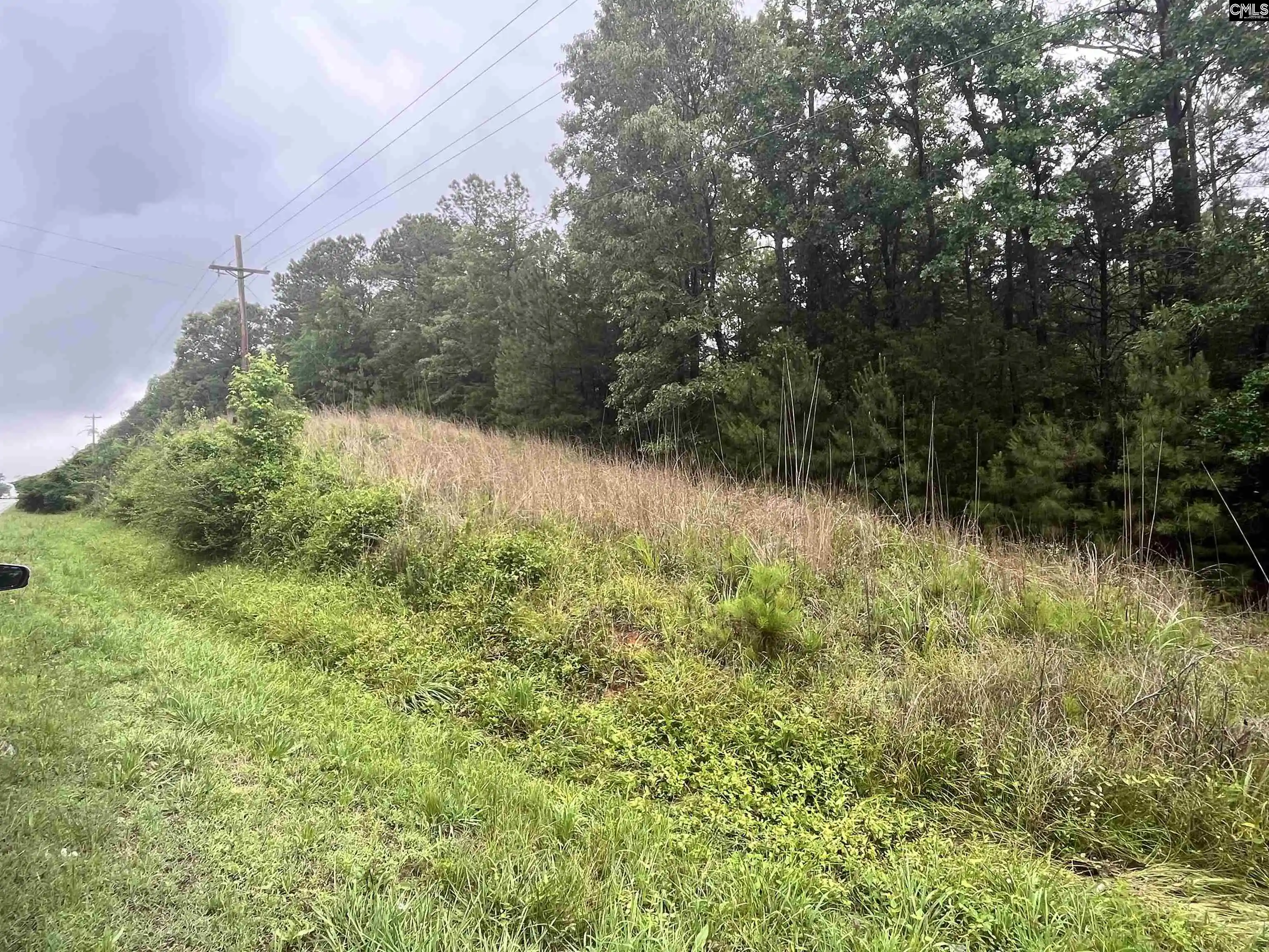 Homes for sale in Whitmire, SC | 0 Carlisle Whitmire Hwy, Whitmire, SC 29178 | MLS# 634307