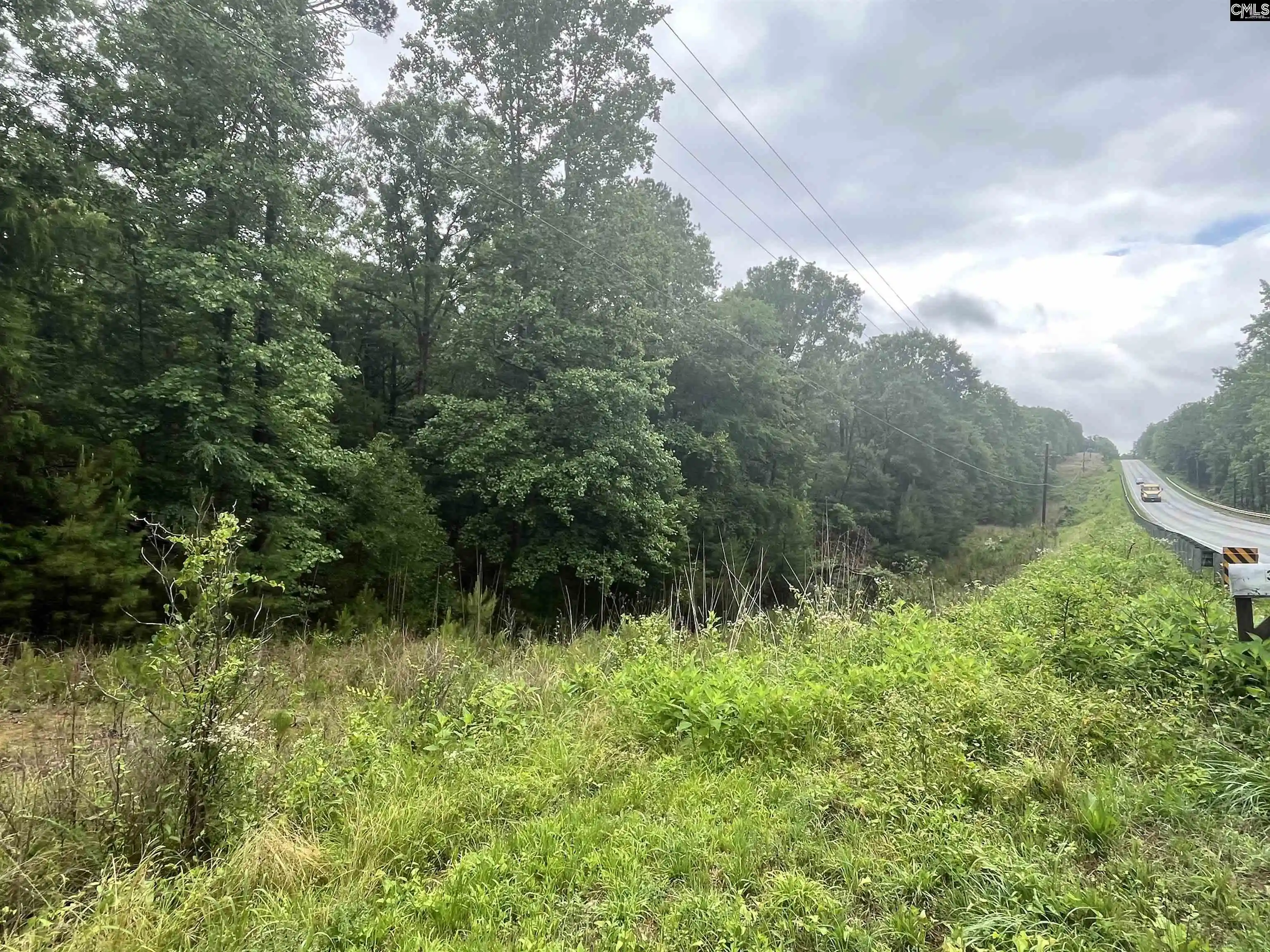 Homes for sale in Whitmire, SC | 0 Carlisle Whitmire Hwy, Whitmire, SC 29178 | MLS# 634307