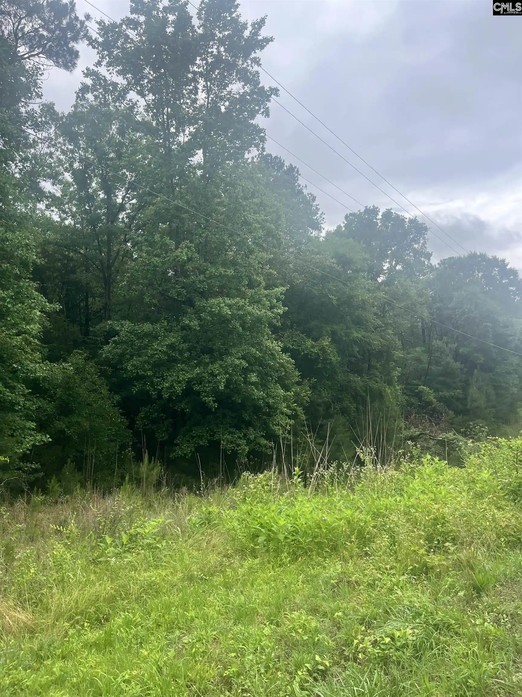 Homes for sale in Whitmire, SC | 0 Carlisle Whitmire Hwy, Whitmire, SC 29178 | MLS# 634307