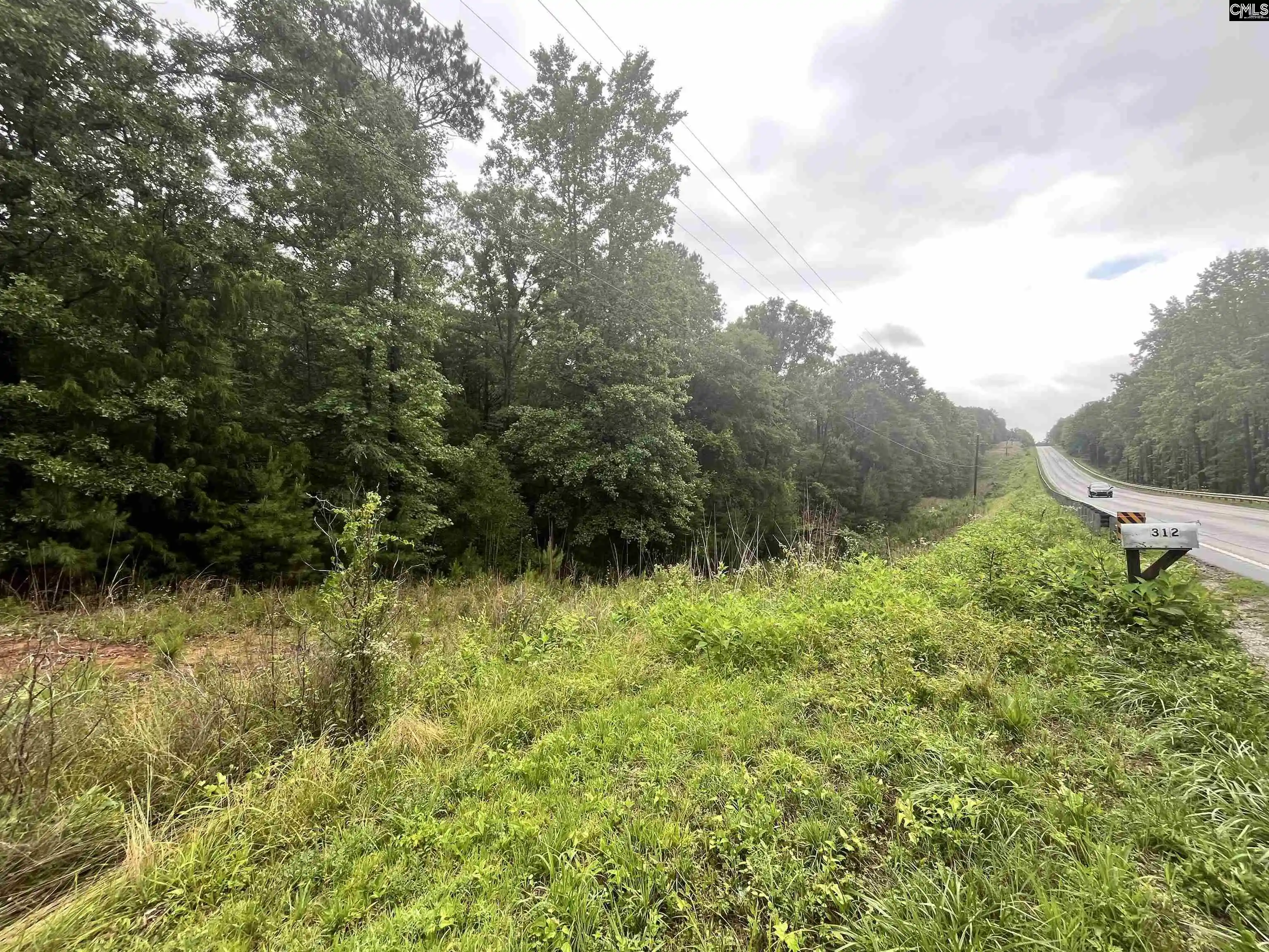 Homes for sale in Whitmire, SC | 0 Carlisle Whitmire Hwy, Whitmire, SC 29178 | MLS# 634307