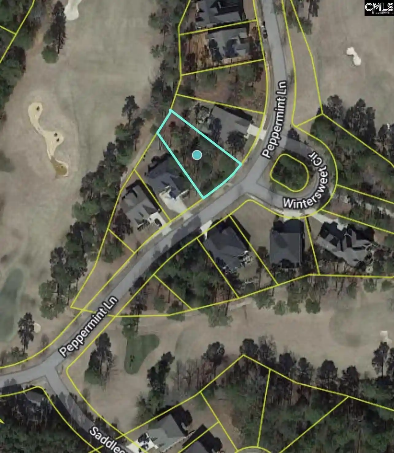 Homes for sale in Blythewood, SC | 129 Peppermint, Blythewood, SC 29016 | MLS# 634418