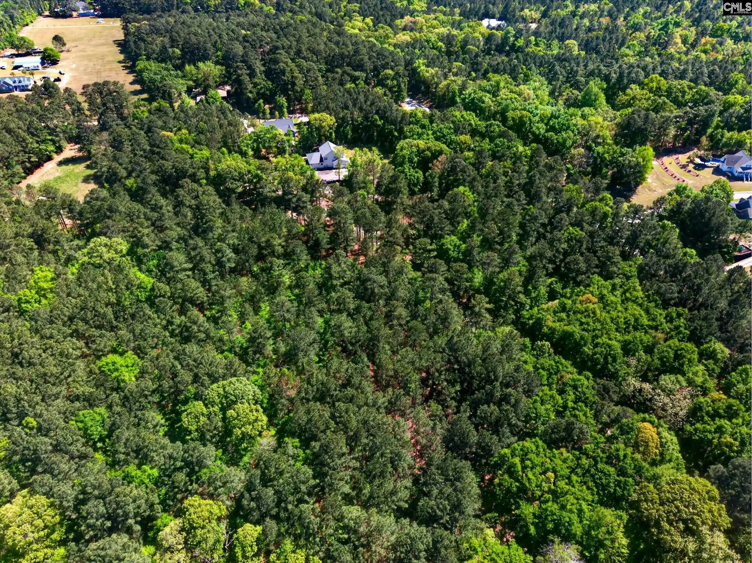 5th image of 219 Juniper Springs #PARCEL A &B, Gilbert, SC 29054 | MLS# 634661