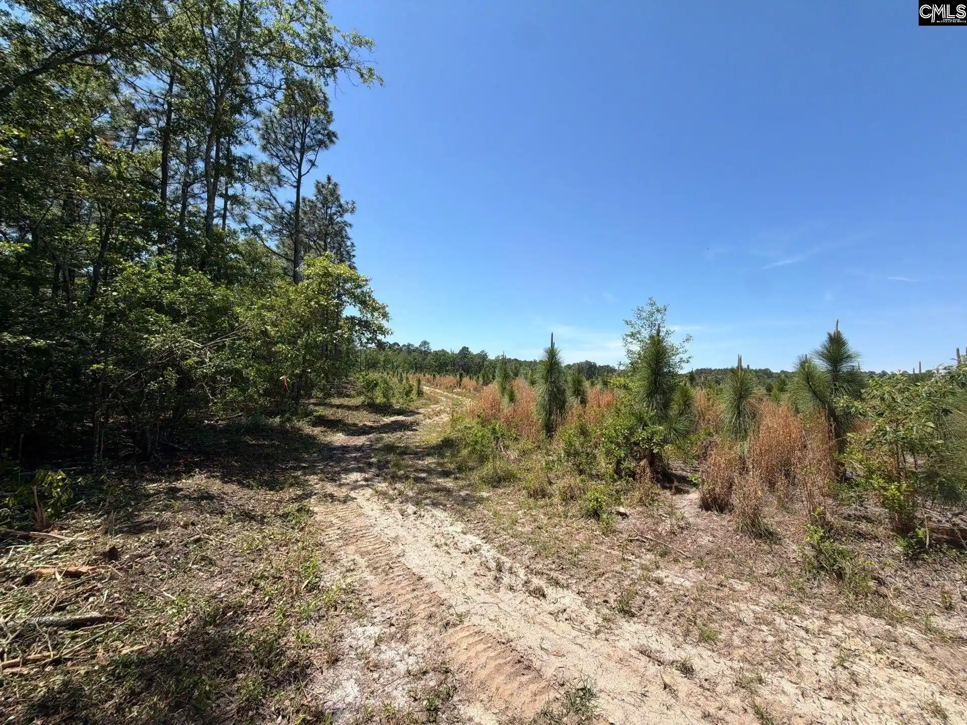 Homes for sale in Wagener, SC | Hrf 3 Holstein, Wagener, SC 29164 | MLS# 634670