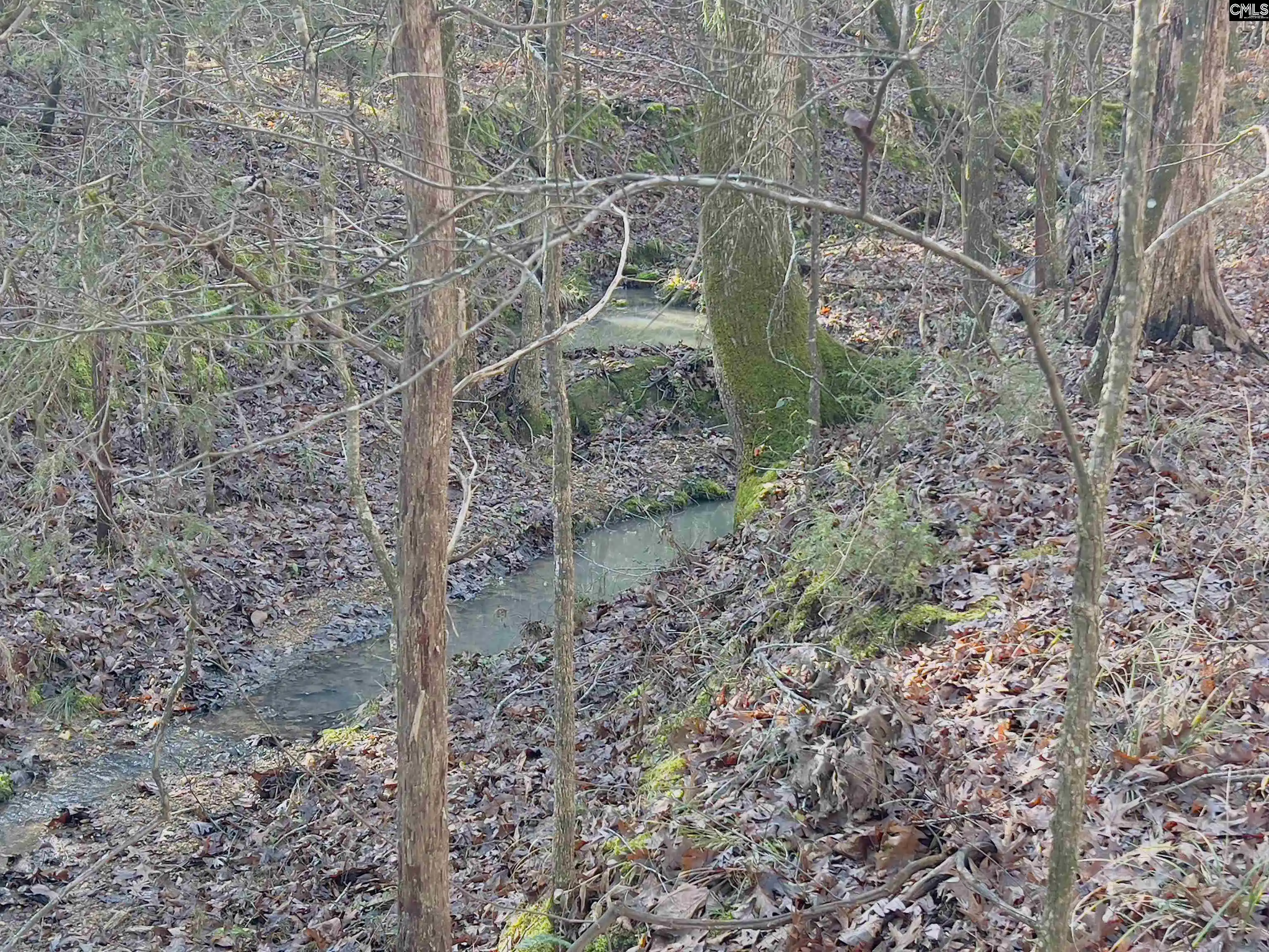 Homes for sale in Blythewood, SC | 521 Mount Valley, Blythewood, SC 29016 | MLS# 634730