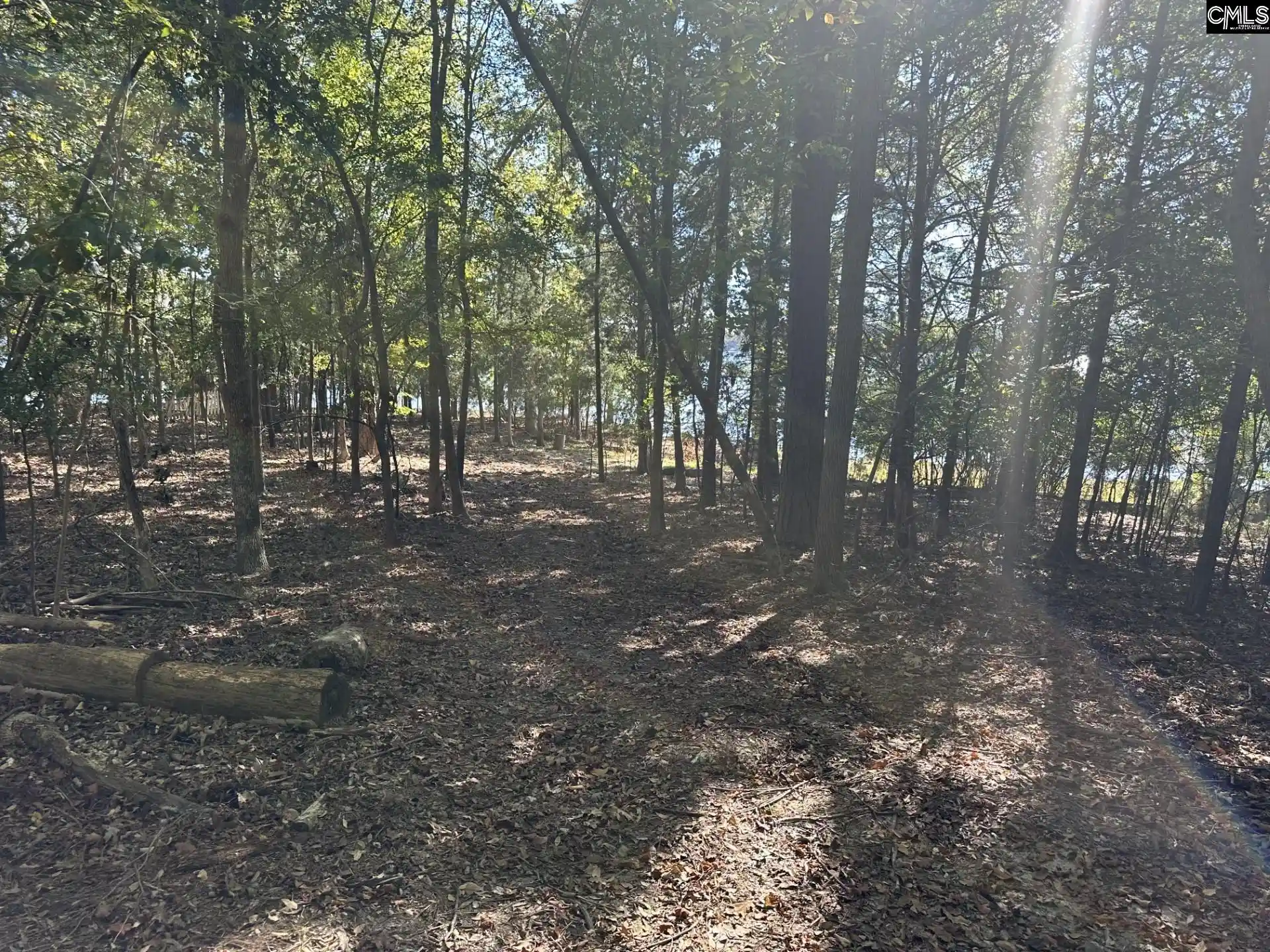 Photo 5 of Sale Pending at 000 Circle H Wood, Prosperity, SC 29127 | MLS# 634809 | Listing updated on 2026-08-14
