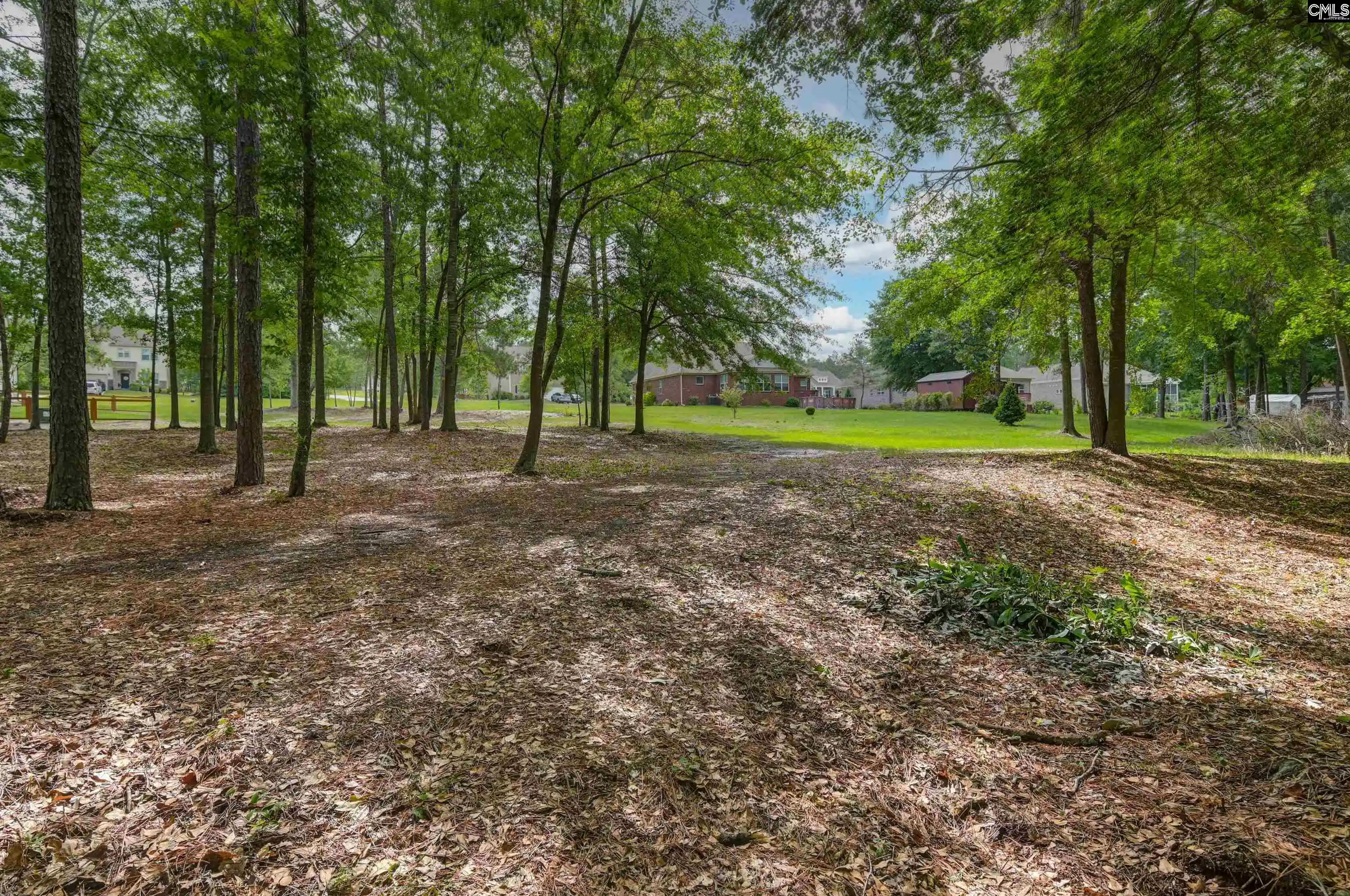 3rd image of 120 Living Waters, Lexington, SC 29073 | MLS# 635025