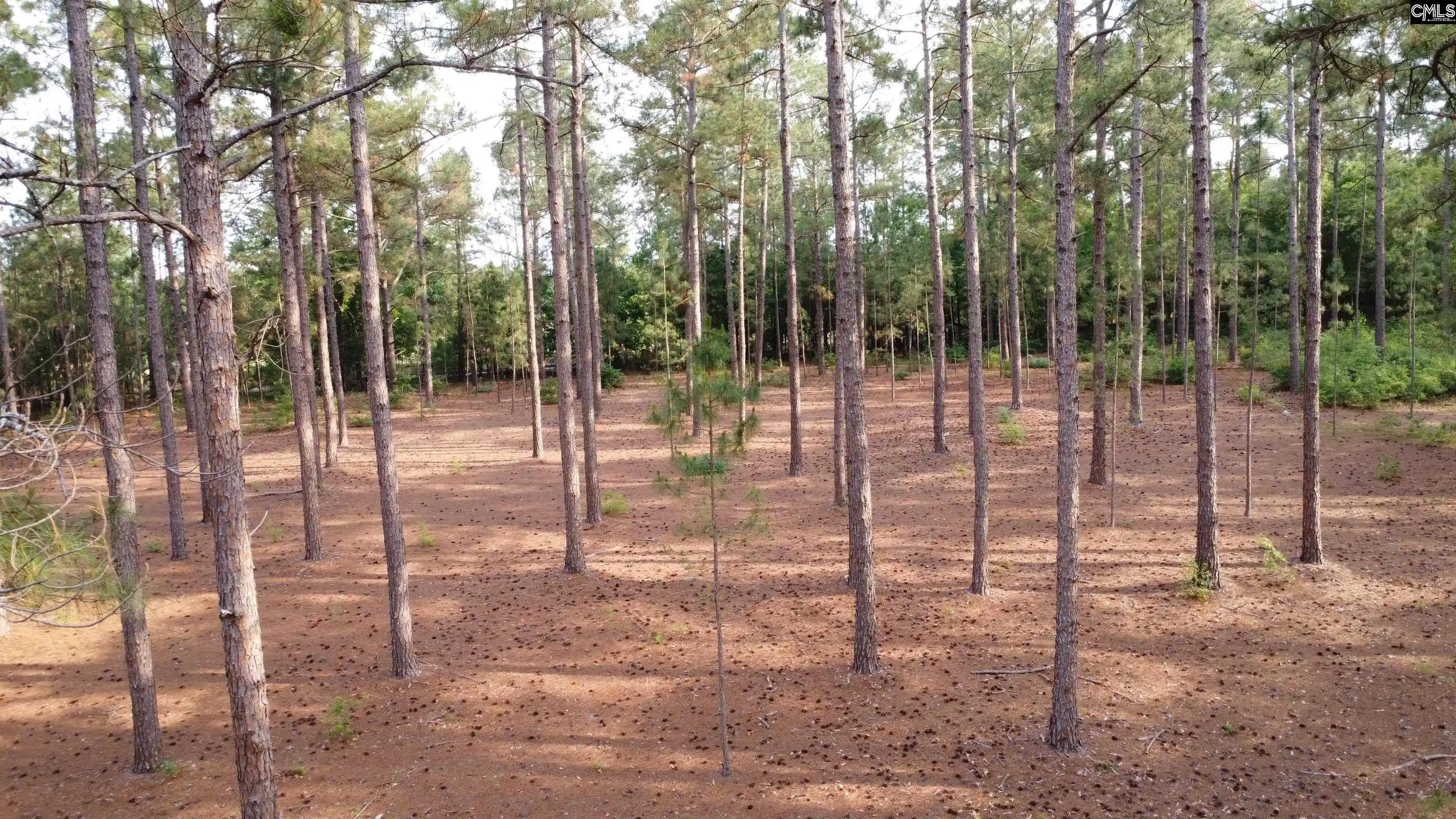 Homes for sale in Leesville, SC | 0 Little Creek, Leesville, SC 29070 | MLS# 635026
