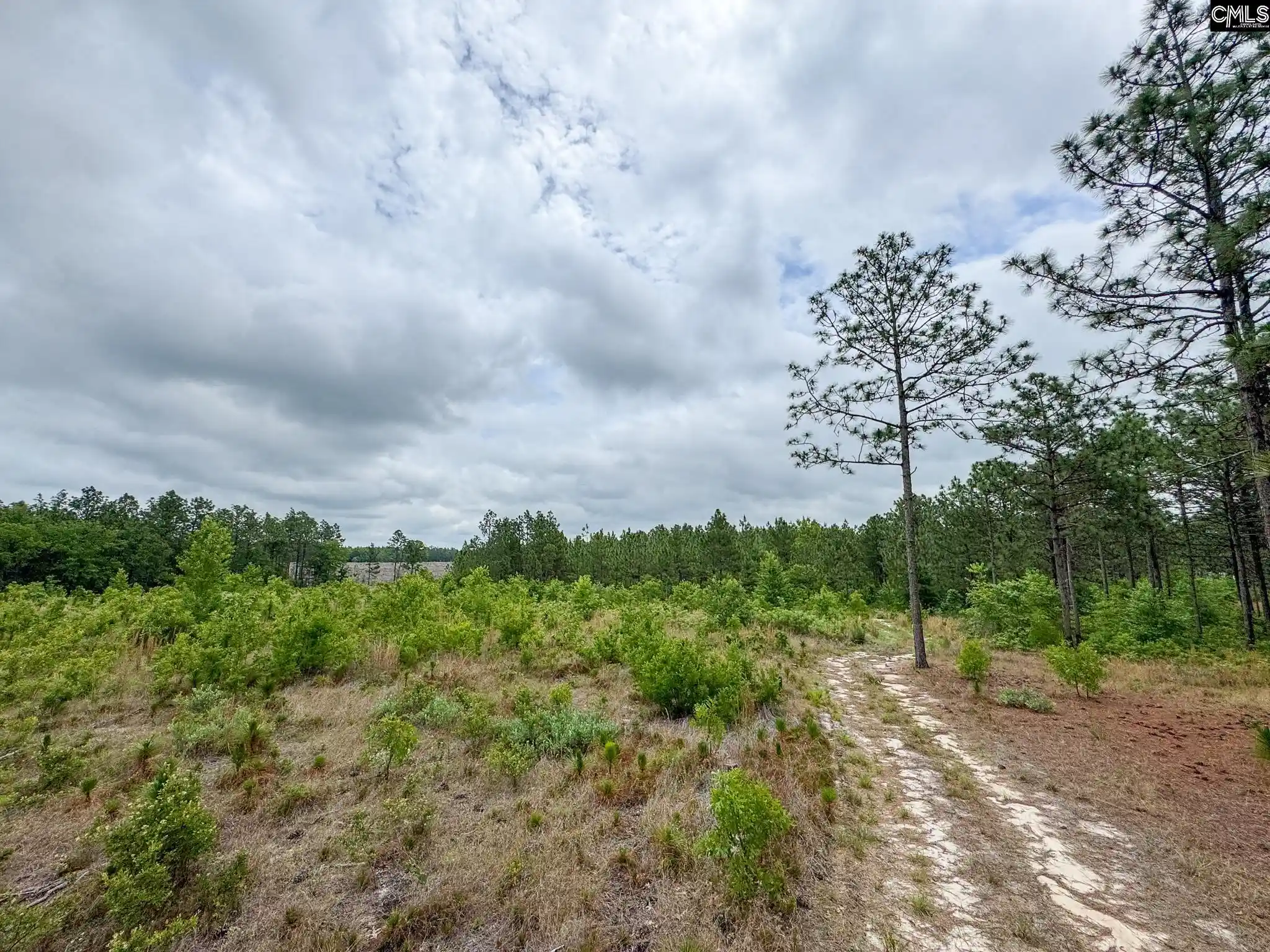 2nd image of 0 Neely Wingard #Lot 5, Gilbert, SC 29054 | MLS# 635110