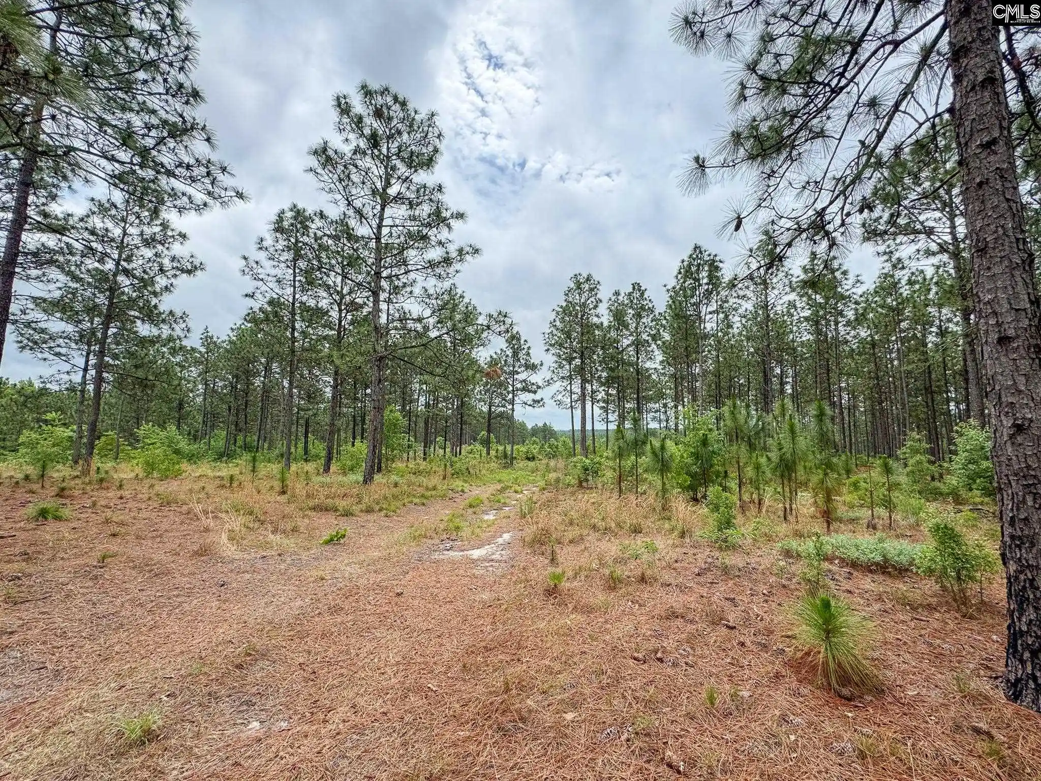 4th image of 0 Neely Wingard #Lot 5, Gilbert, SC 29054 | MLS# 635110