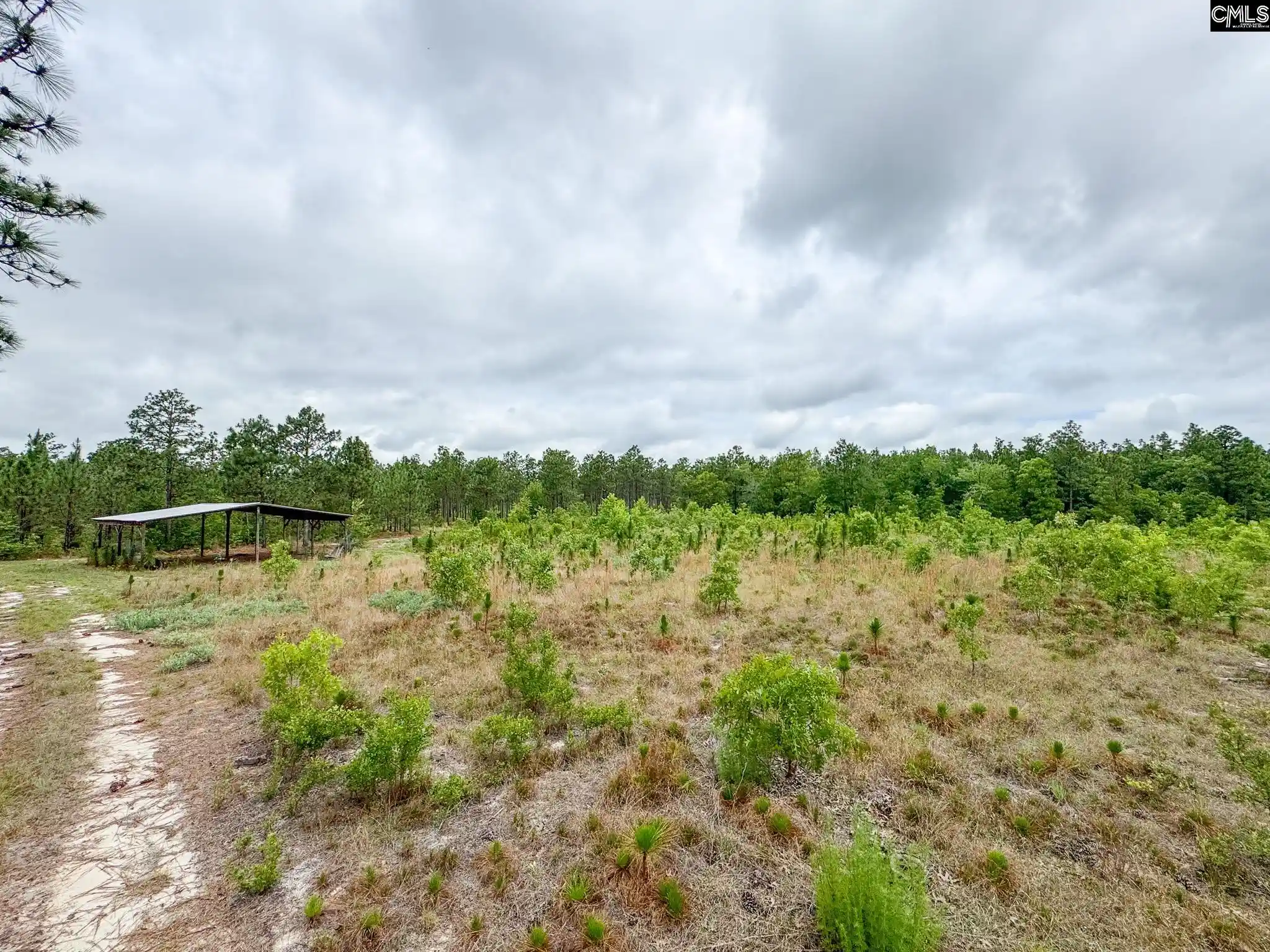 10th image of 0 Neely Wingard #Lot 5, Gilbert, SC 29054 | MLS# 635110