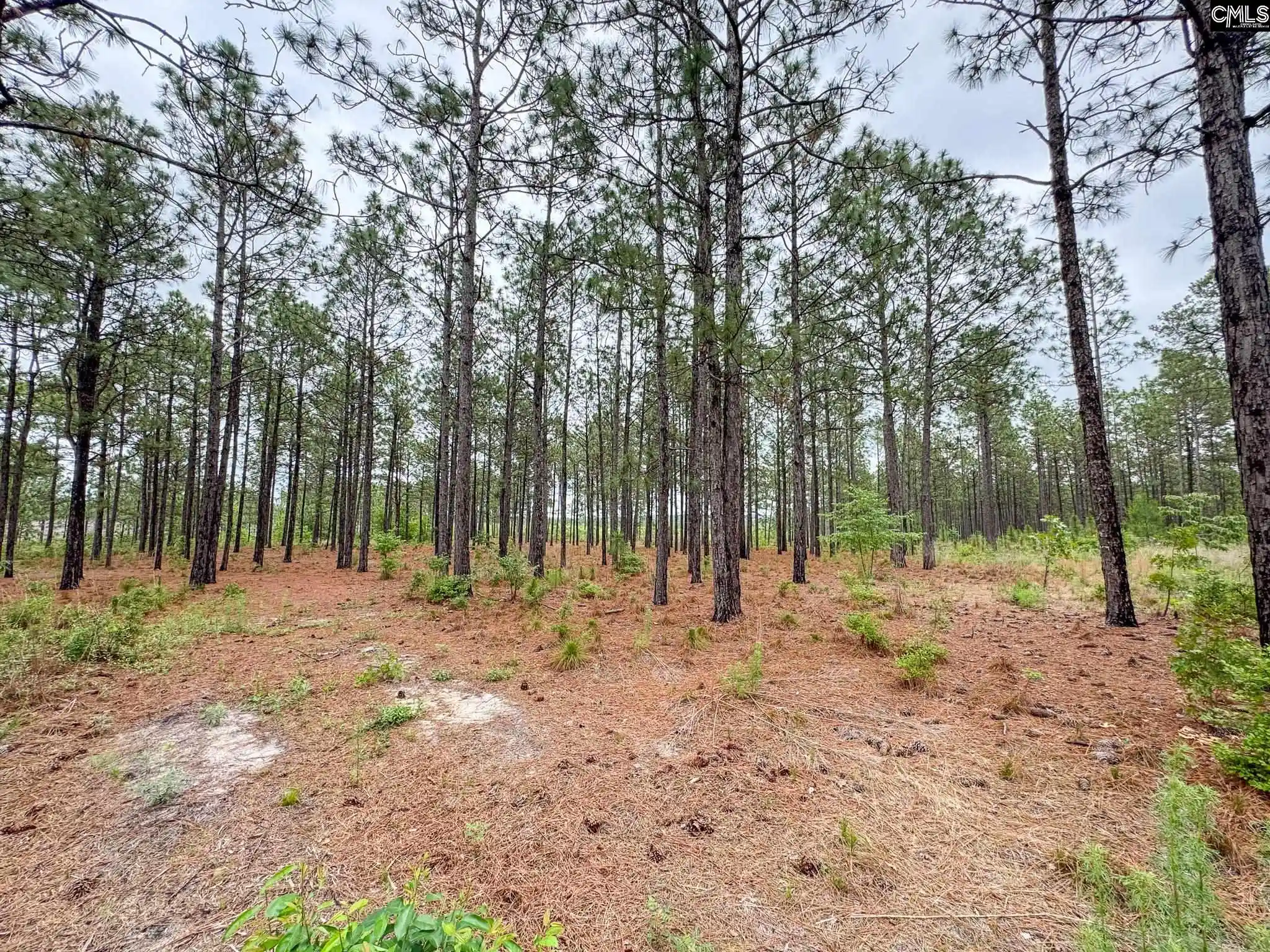 1st image of 0 Neely Wingard #Lot 6, Gilbert, SC 29054 | MLS# 635111