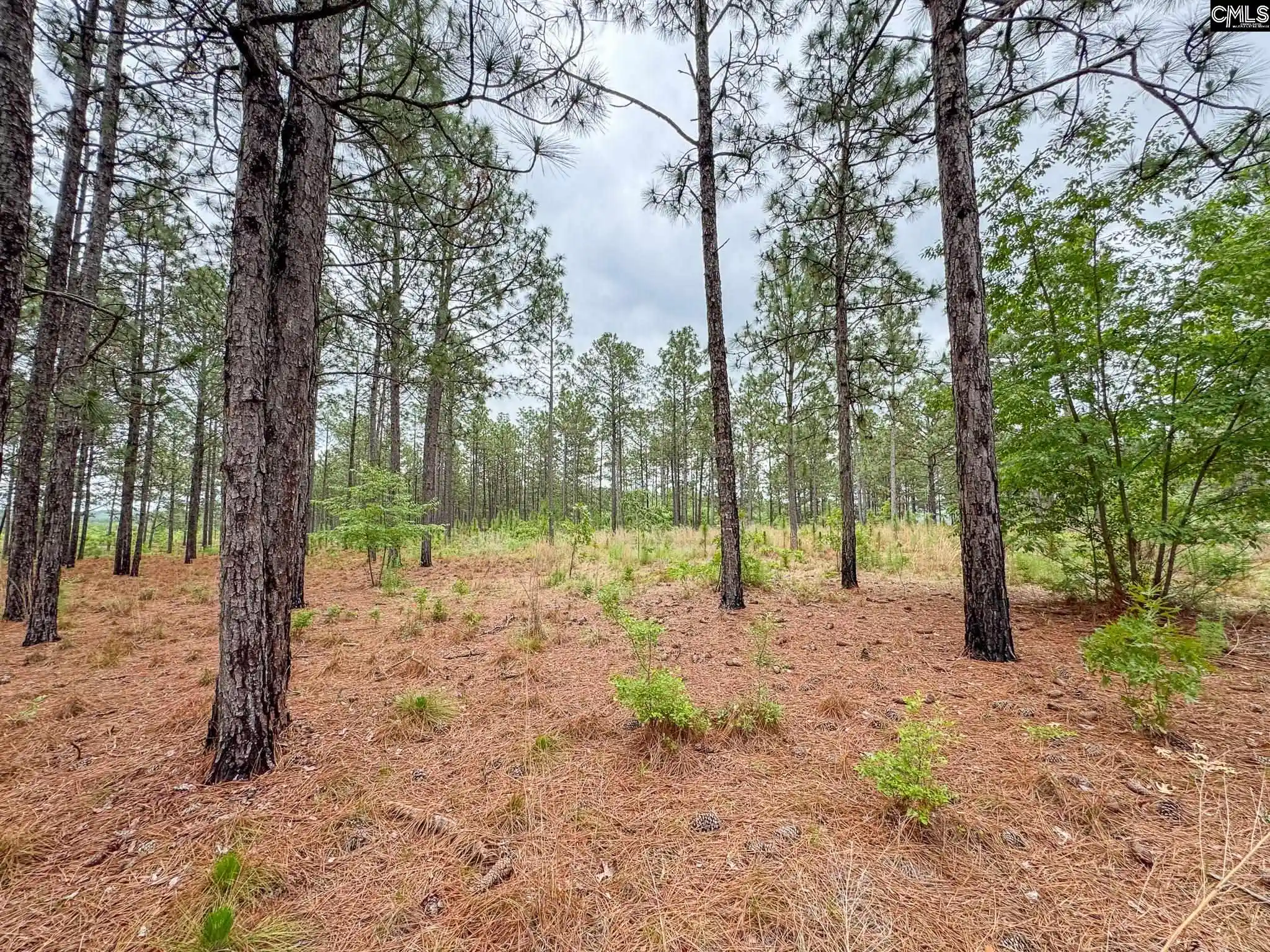 3rd image of 0 Neely Wingard #Lot 6, Gilbert, SC 29054 | MLS# 635111