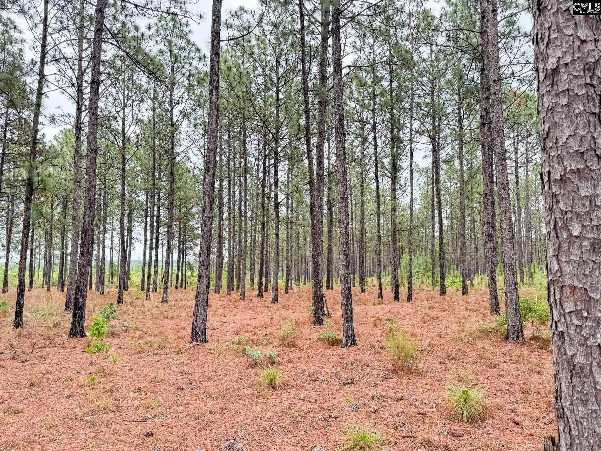 4th image of 0 Neely Wingard #Lot 6, Gilbert, SC 29054 | MLS# 635111
