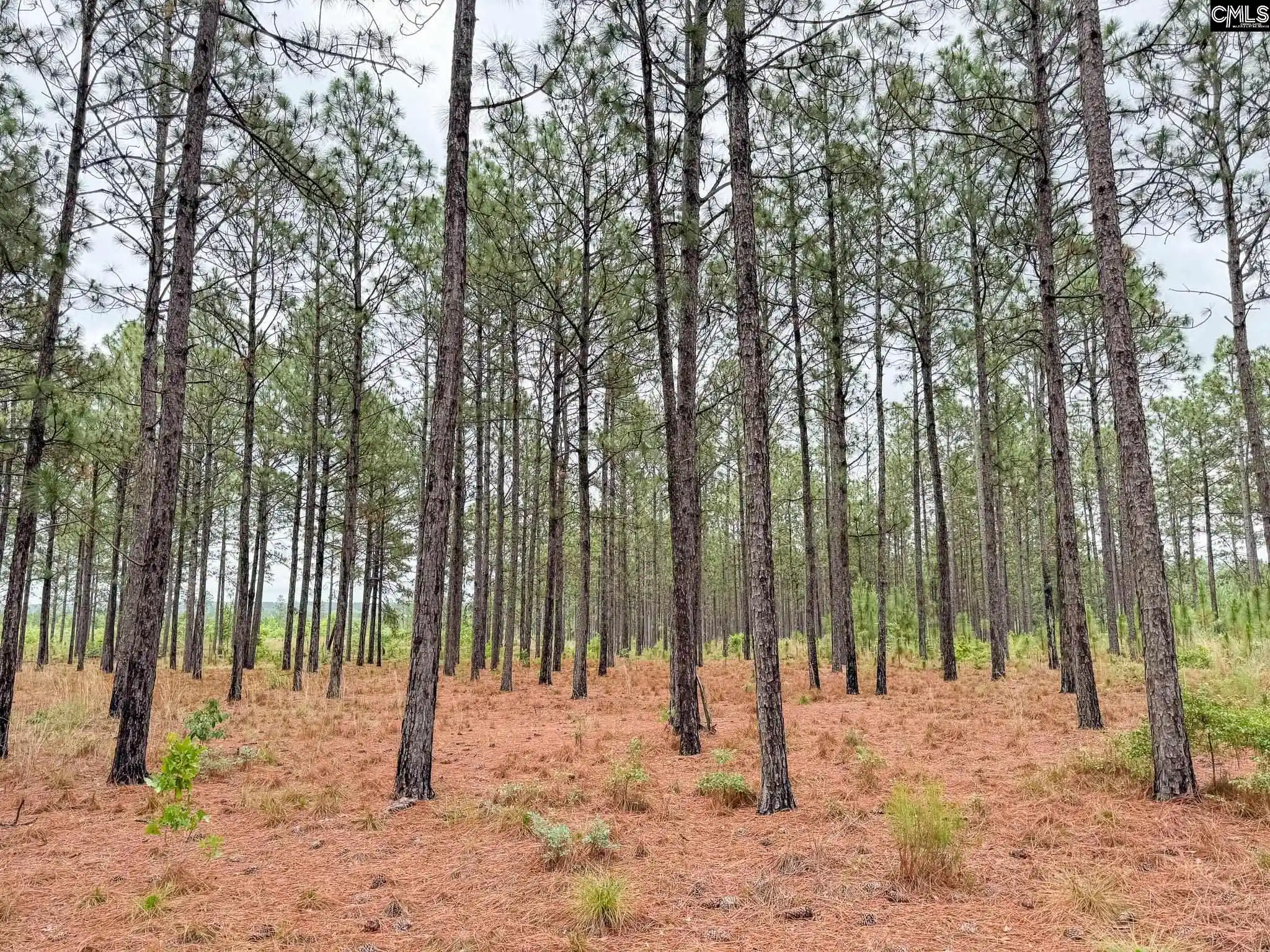 5th image of 0 Neely Wingard #Lot 6, Gilbert, SC 29054 | MLS# 635111