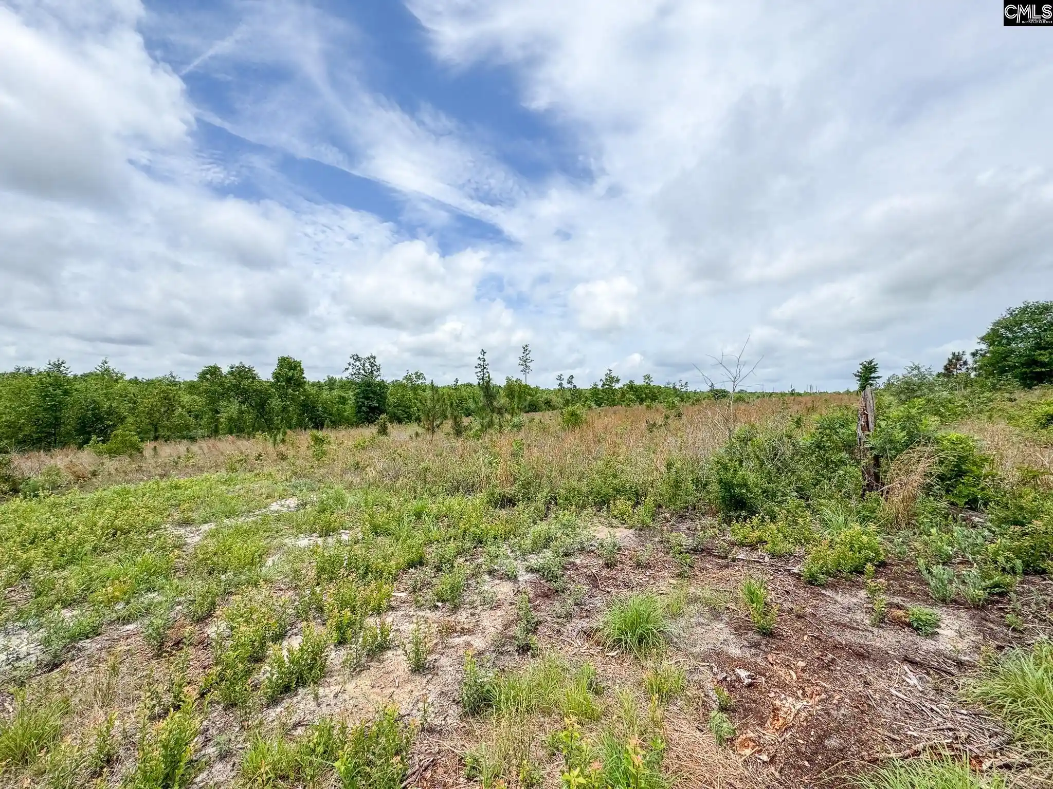 Homes for sale in Gilbert, SC | 0 Neely Wingard #Lot 7, Gilbert, SC 29054 | MLS# 635112