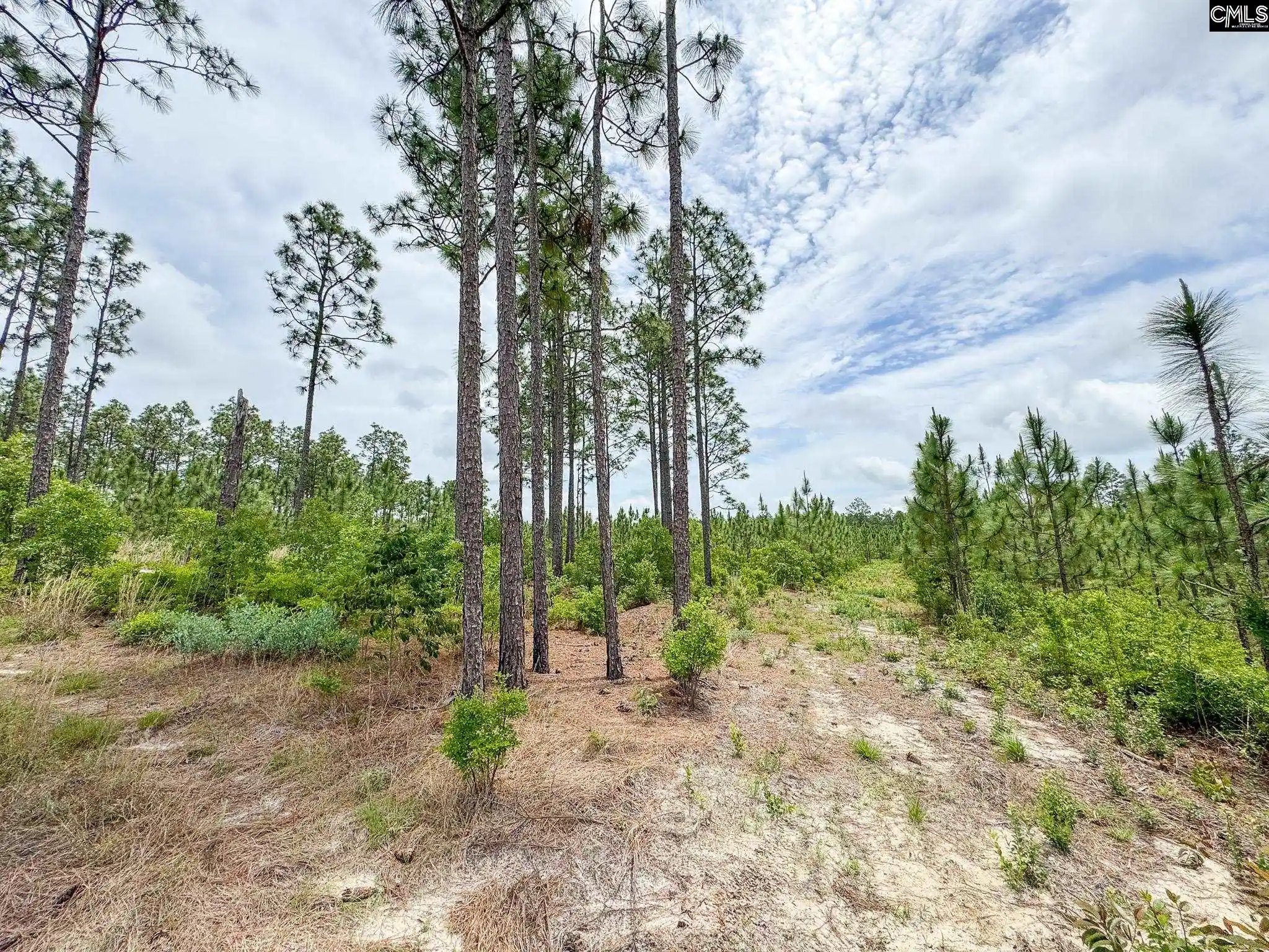 Homes for sale in Gilbert, SC | 0 Neely Wingard #Lot 7, Gilbert, SC 29054 | MLS# 635112