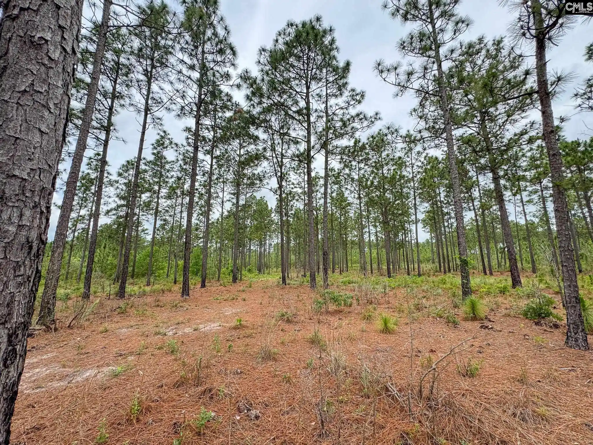Homes for sale in Gilbert, SC | 0 Neely Wingard #Lot 10, Gilbert, SC 29054 | MLS# 635115