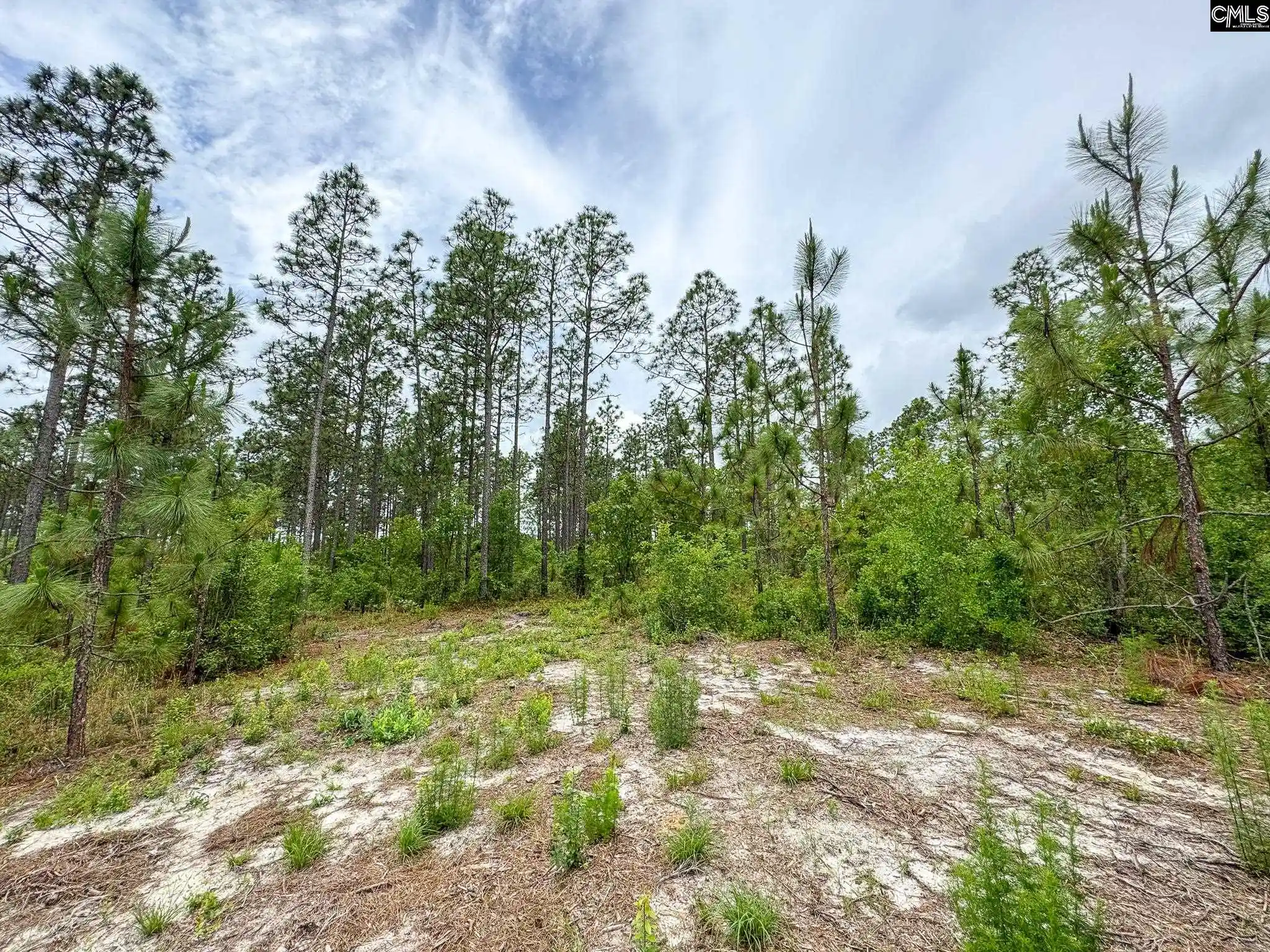 Homes for sale in Gilbert, SC | 0 Neely Wingard #Lot 10, Gilbert, SC 29054 | MLS# 635115