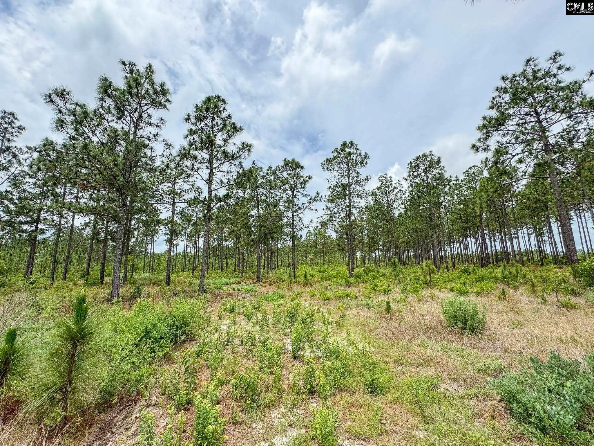 Homes for sale in Gilbert, SC | 0 Neely Wingard #Lot 11, Gilbert, SC 29054 | MLS# 635116