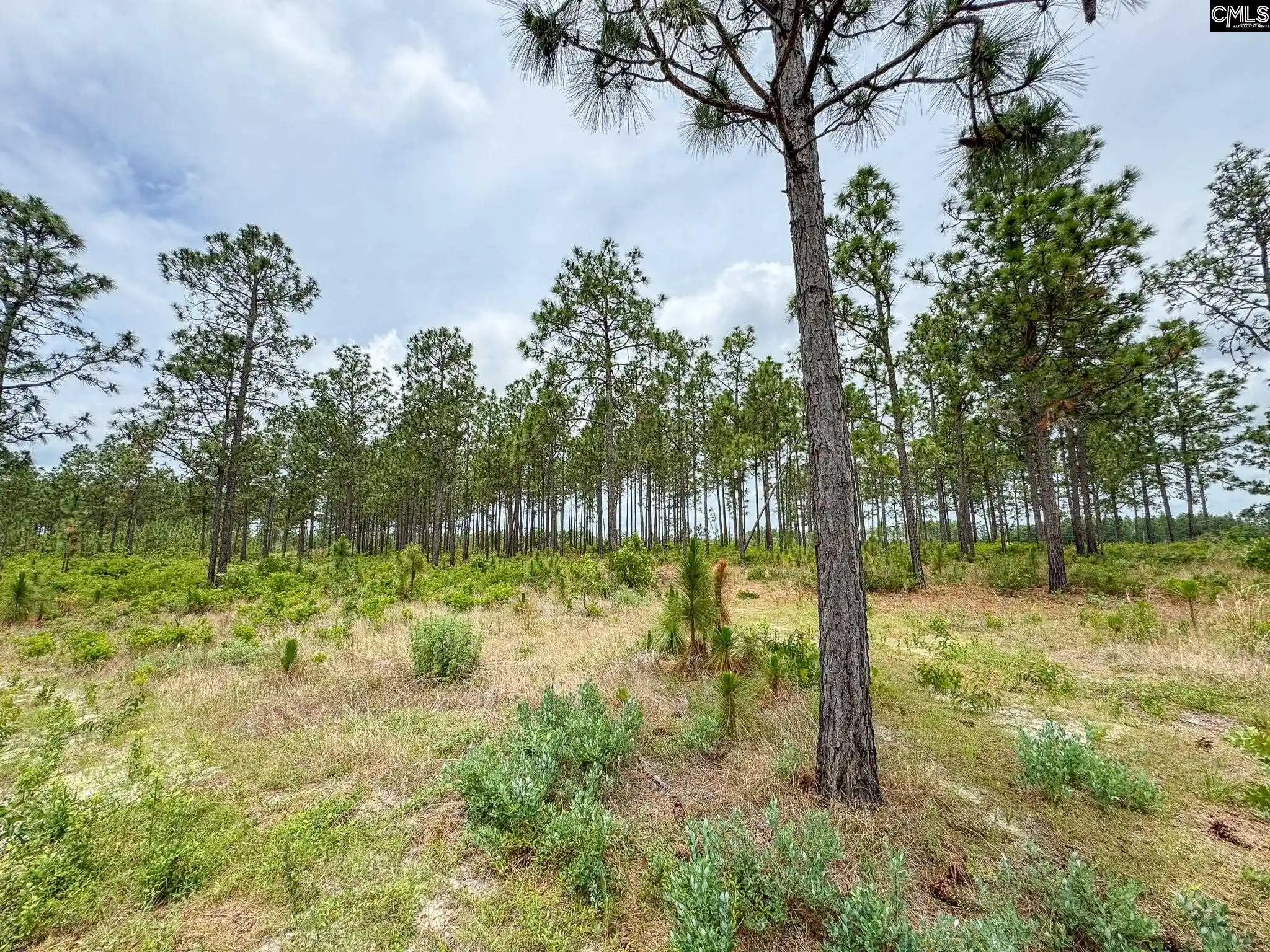 Homes for sale in Gilbert, SC | 0 Neely Wingard #Lot 11, Gilbert, SC 29054 | MLS# 635116