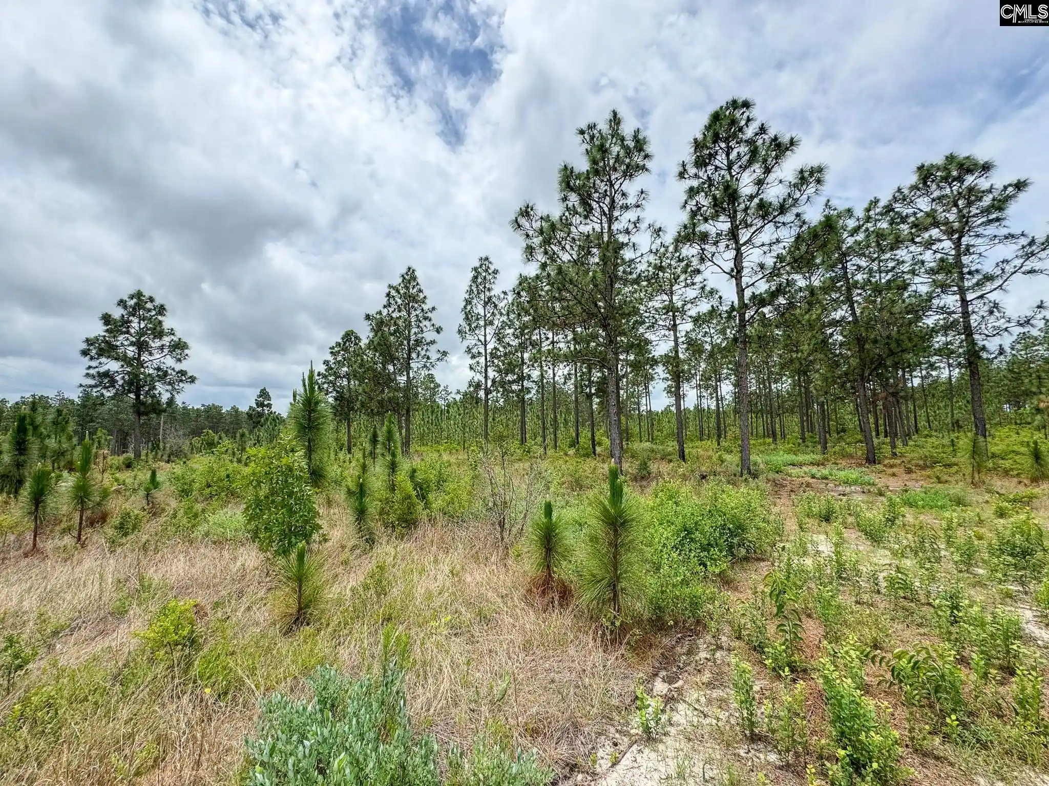 Homes for sale in Gilbert, SC | 0 Neely Wingard #Lot 12, Gilbert, SC 29054 | MLS# 635117