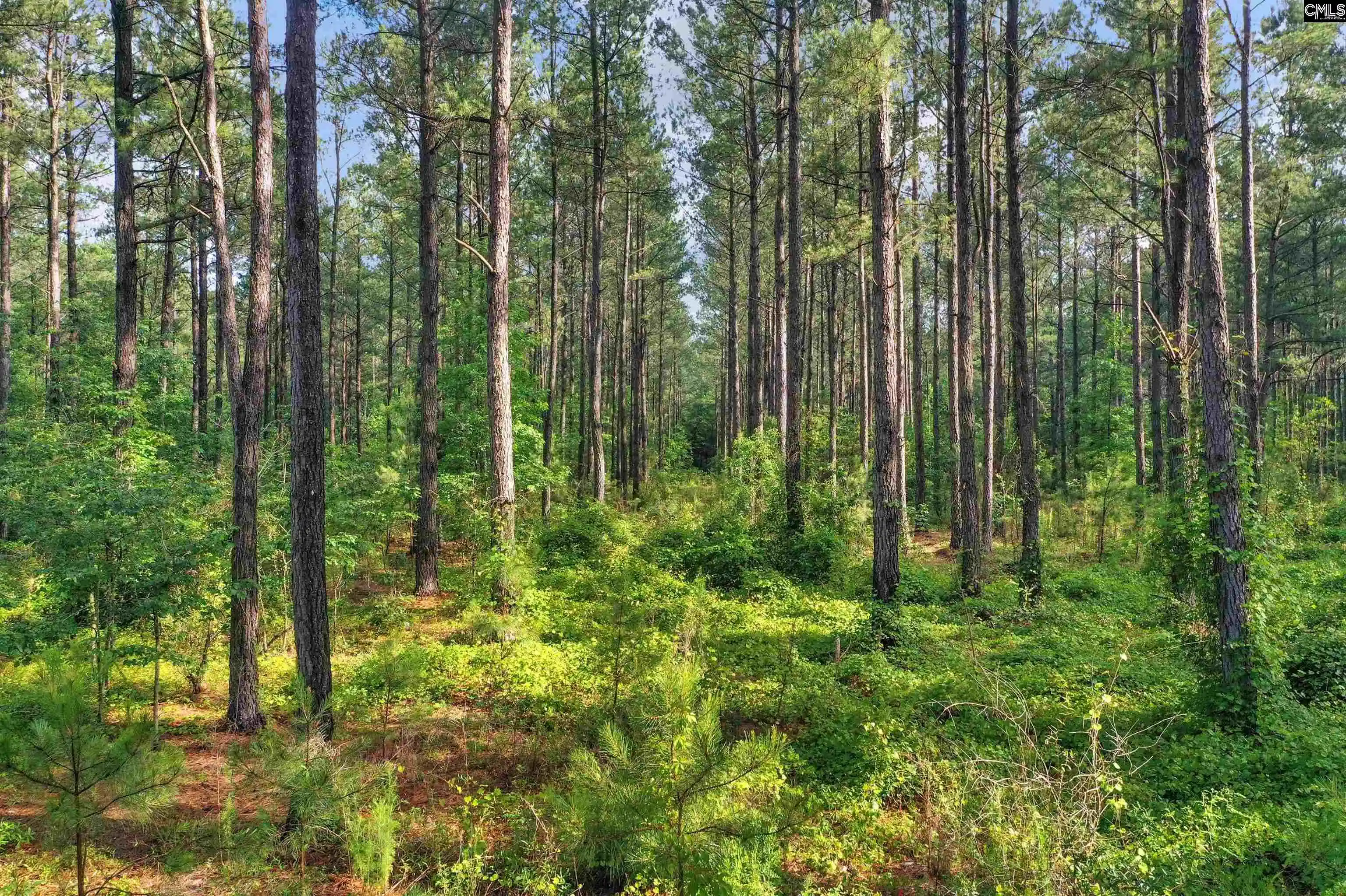 Photo 2 of Land for sale at 0000 N Brewington #10, Manning, SC 29102 | MLS# 635209 | Listing updated on 2026-05-29