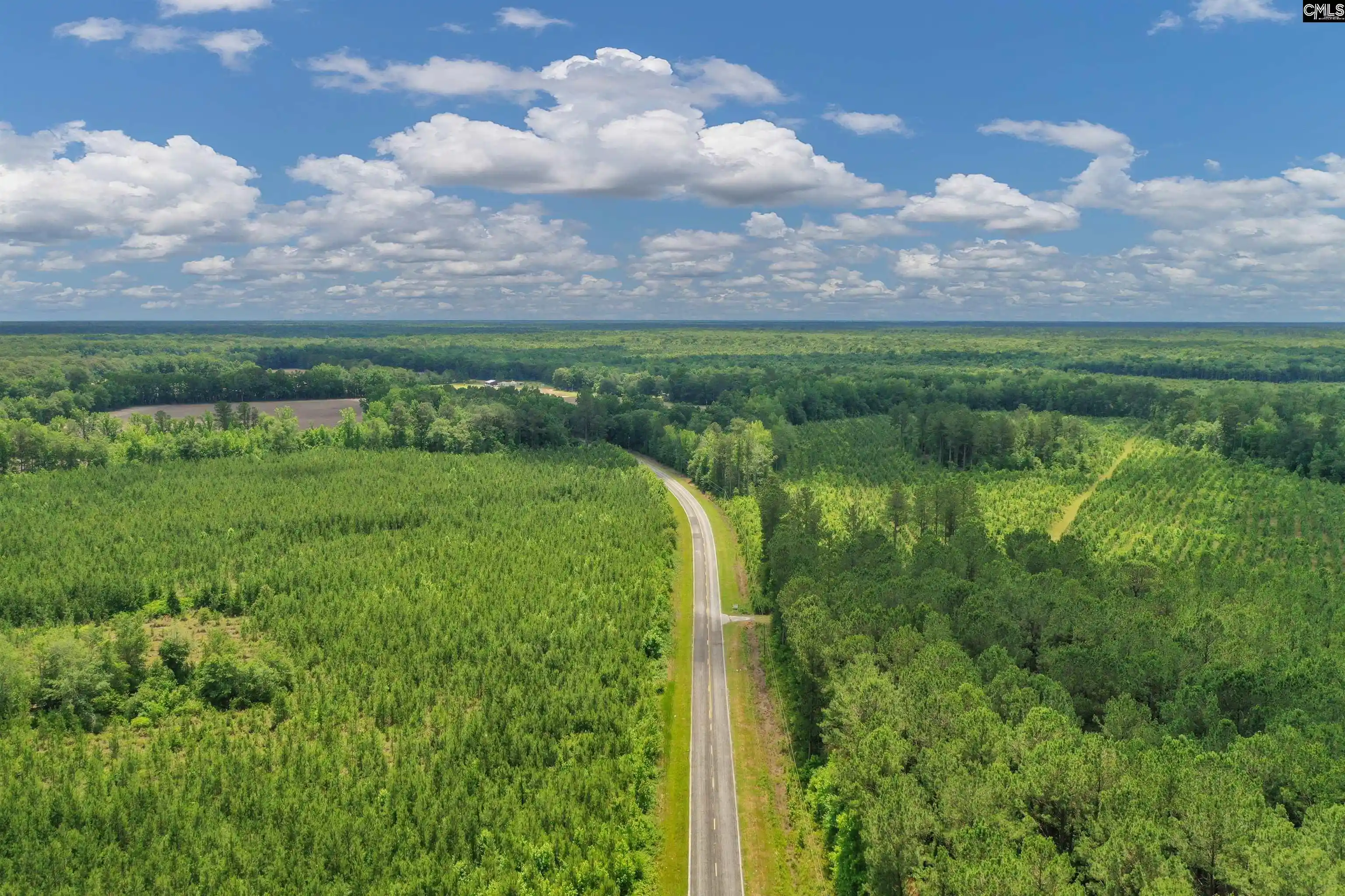 Photo 4 of Land for sale at 0000 N Brewington #10, Manning, SC 29102 | MLS# 635209 | Listing updated on 2026-05-29