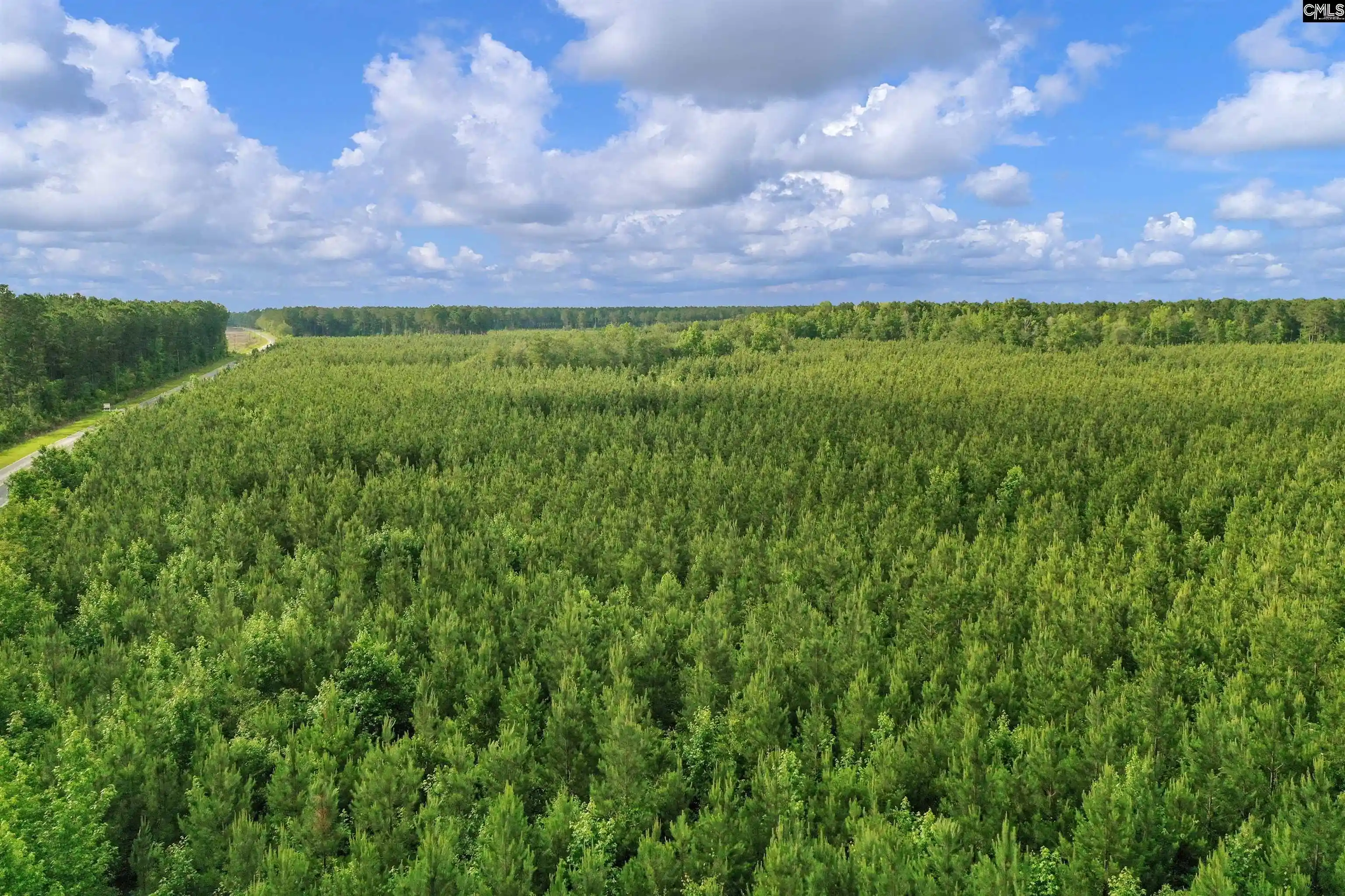 Photo 5 of Land for sale at 0000 N Brewington #10, Manning, SC 29102 | MLS# 635209 | Listing updated on 2026-05-29