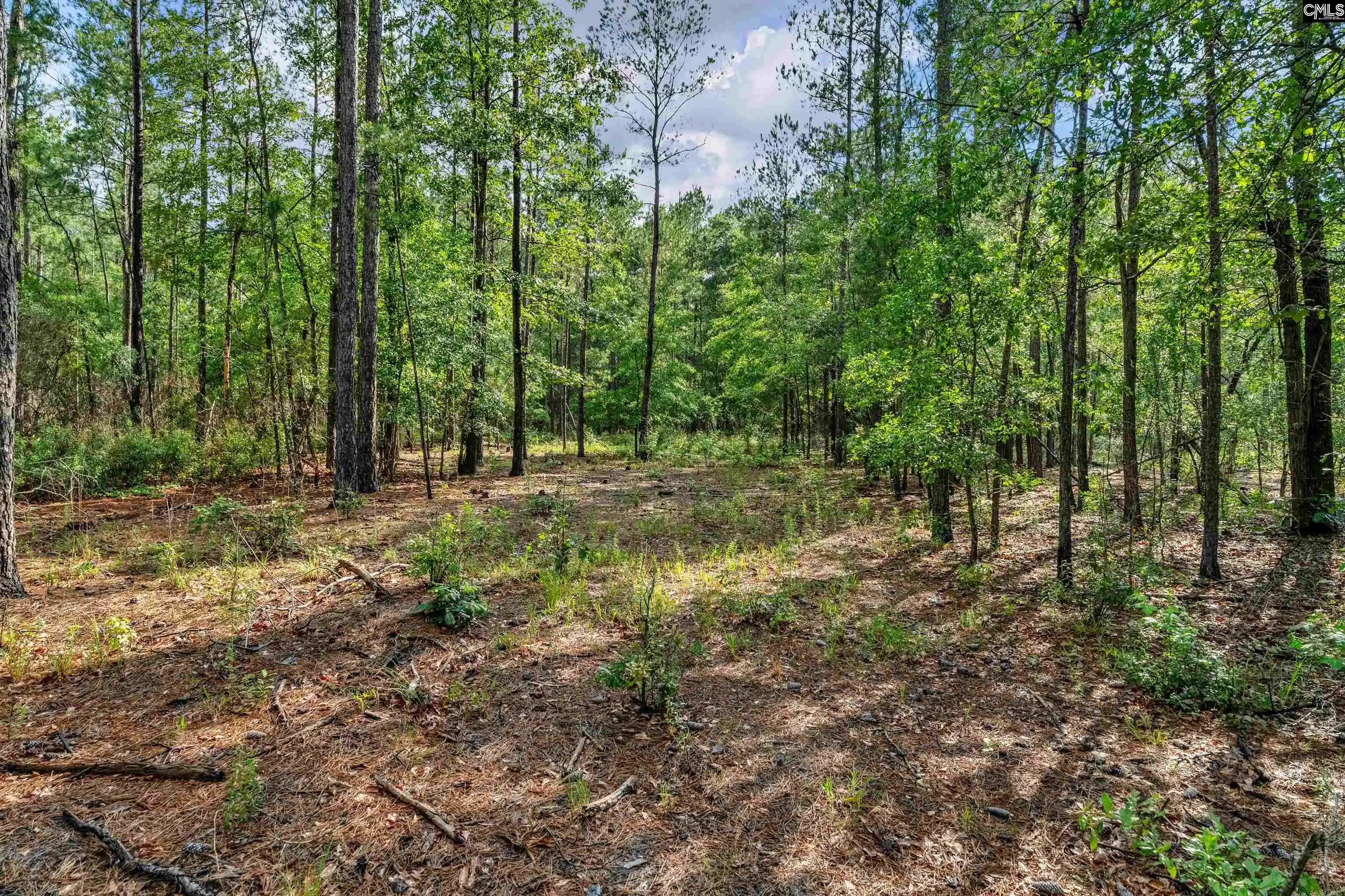 Photo 29 of Land for sale at 0000 N Brewington #10, Manning, SC 29102 | MLS# 635209 | Listing updated on 2026-05-29